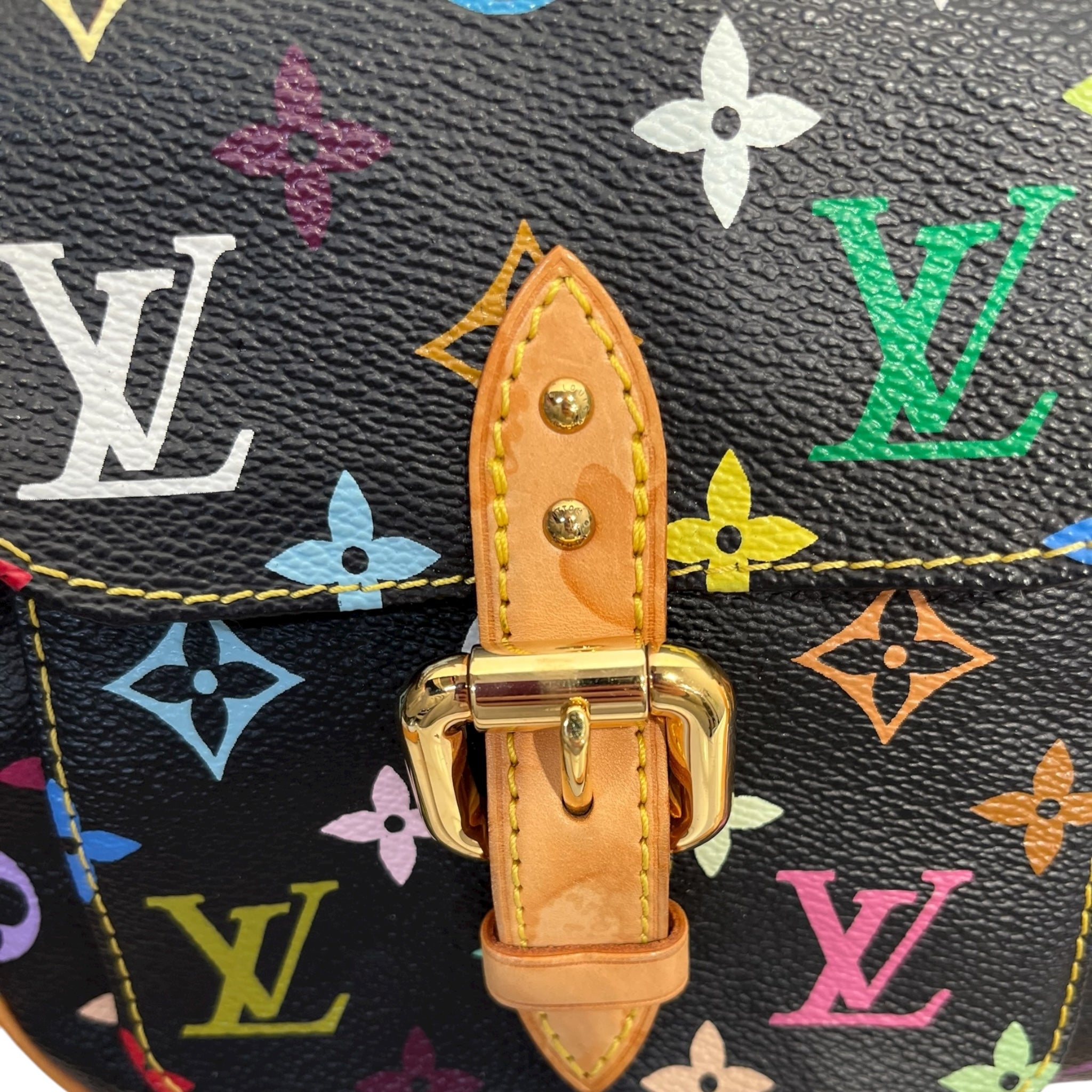 LOUIS VUITTON/Bag/Monogram/Leather/MLT/Multicolor Monogram Lodge Bag view 10