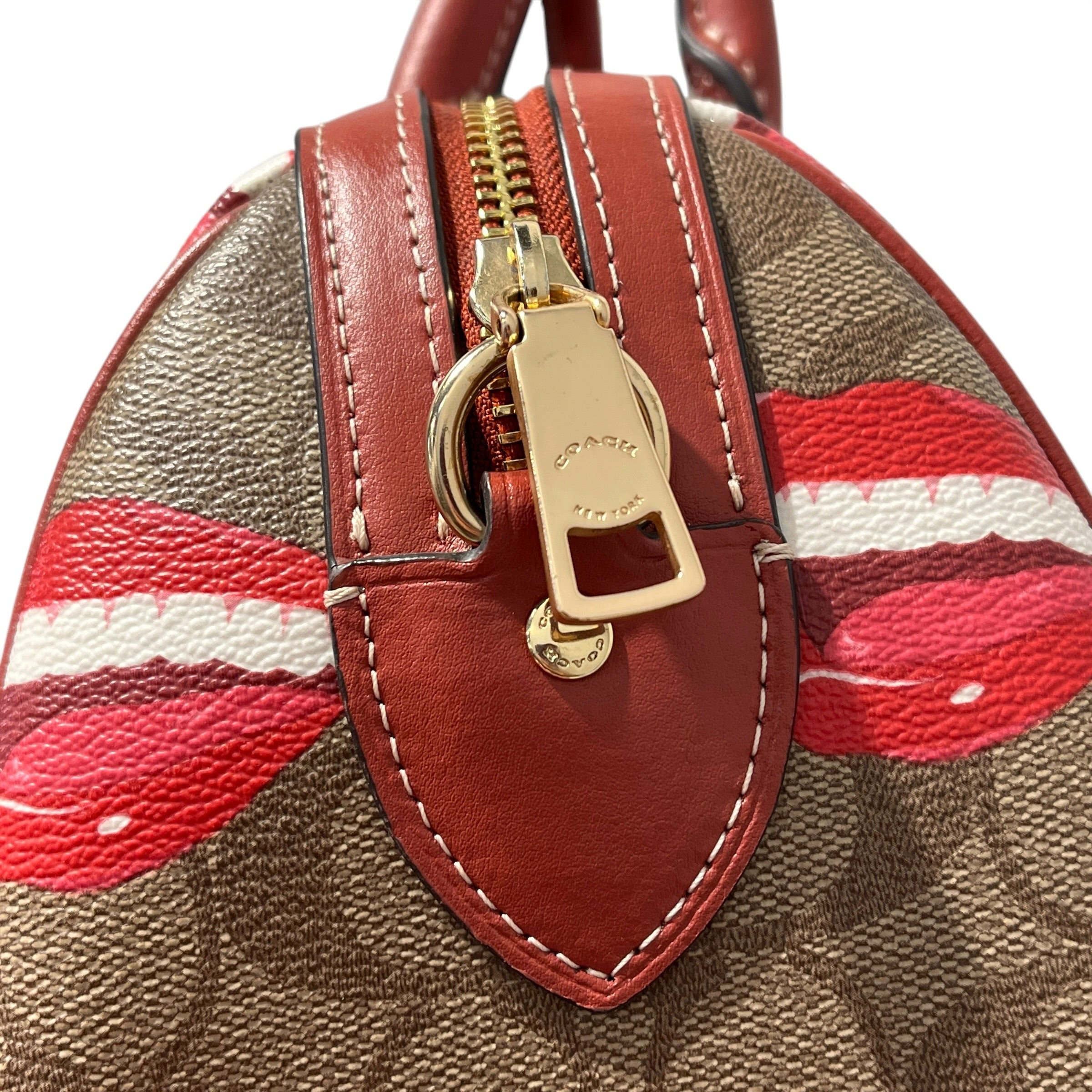 COACH/Bag/All Over Print/Leather/BRW/SATCHEL MOUTH PRINT view 15
