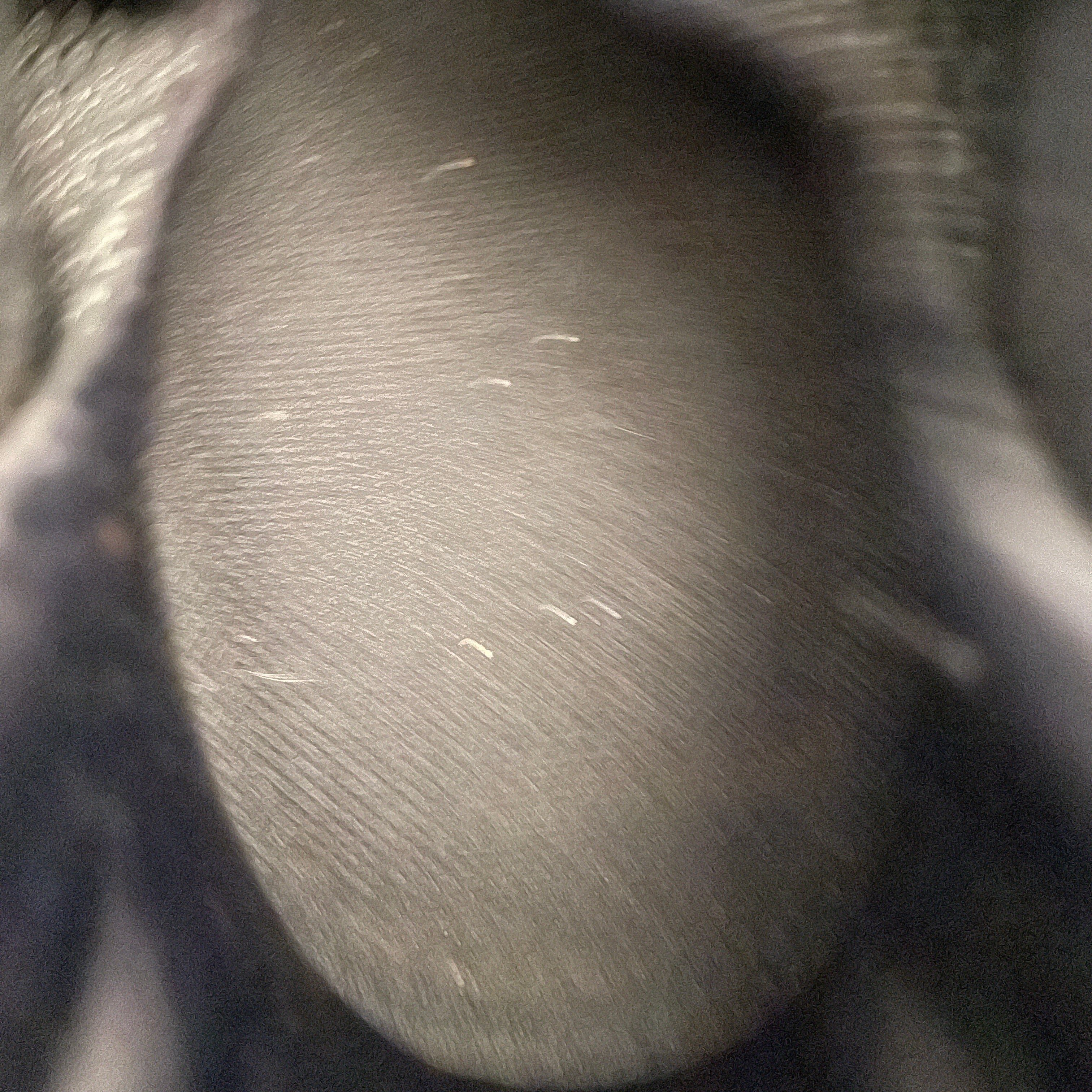 NIKE/Low-Sneakers/US 9/BLU/Foamposite view 3