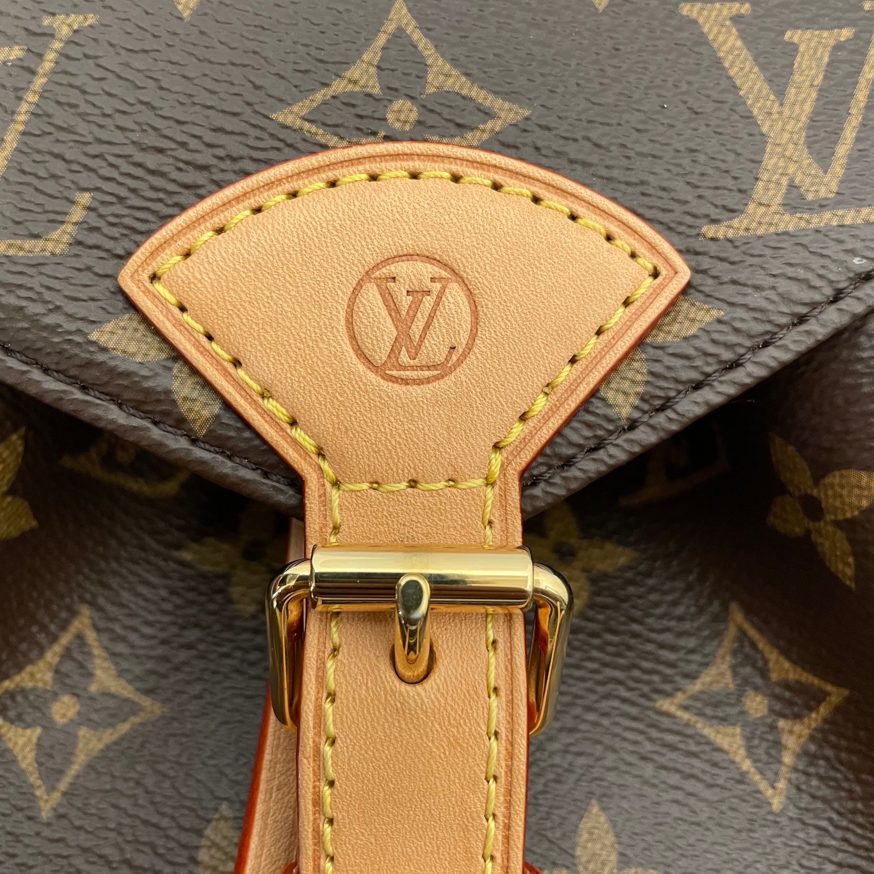 LOUIS VUITTON/Backpack/Monogram/Leather/BRW/Monogram Montsouris view 13