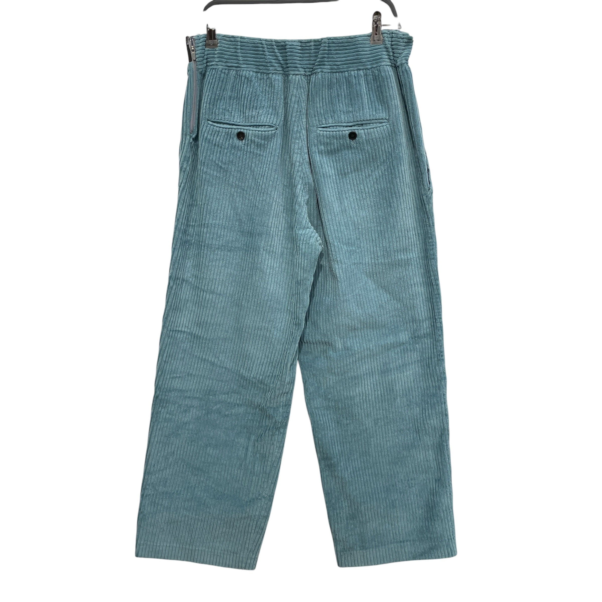 ISABEL MARANT/Skinny Pants/40/Cotton/BLU/BLUE CORDUROY view 2