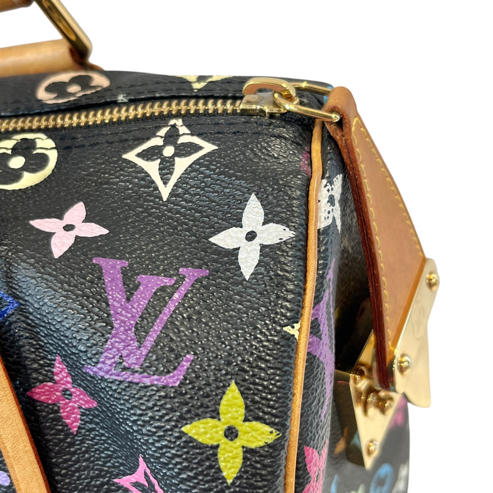 LOUIS VUITTON/Boston Bag/Monogram/BLK/MURAKAMI SPEEDY 30 MULTICOLOR view 7