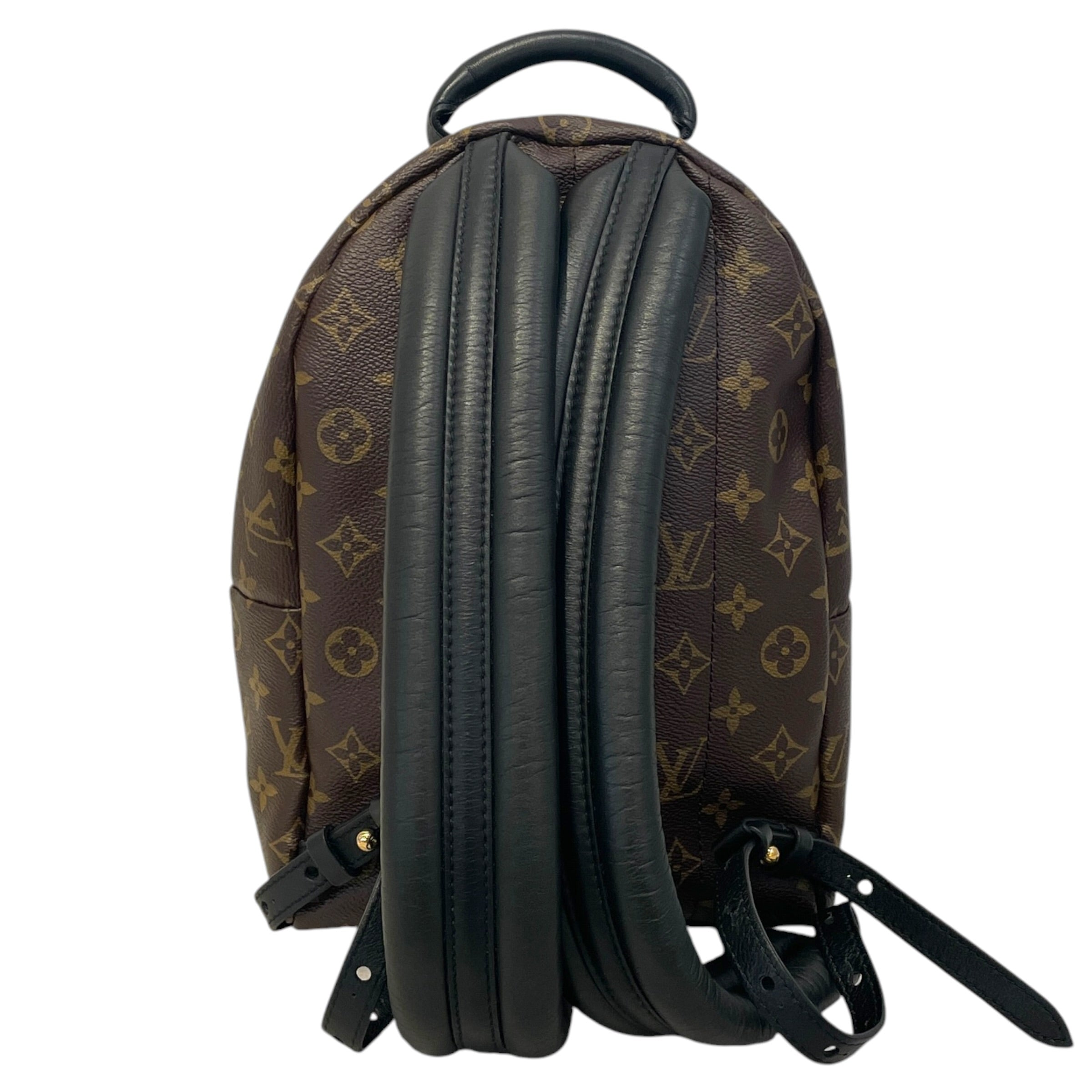 LOUIS VUITTON/Backpack/Monogram/Leather/BRW/Palm Strings PM view 2