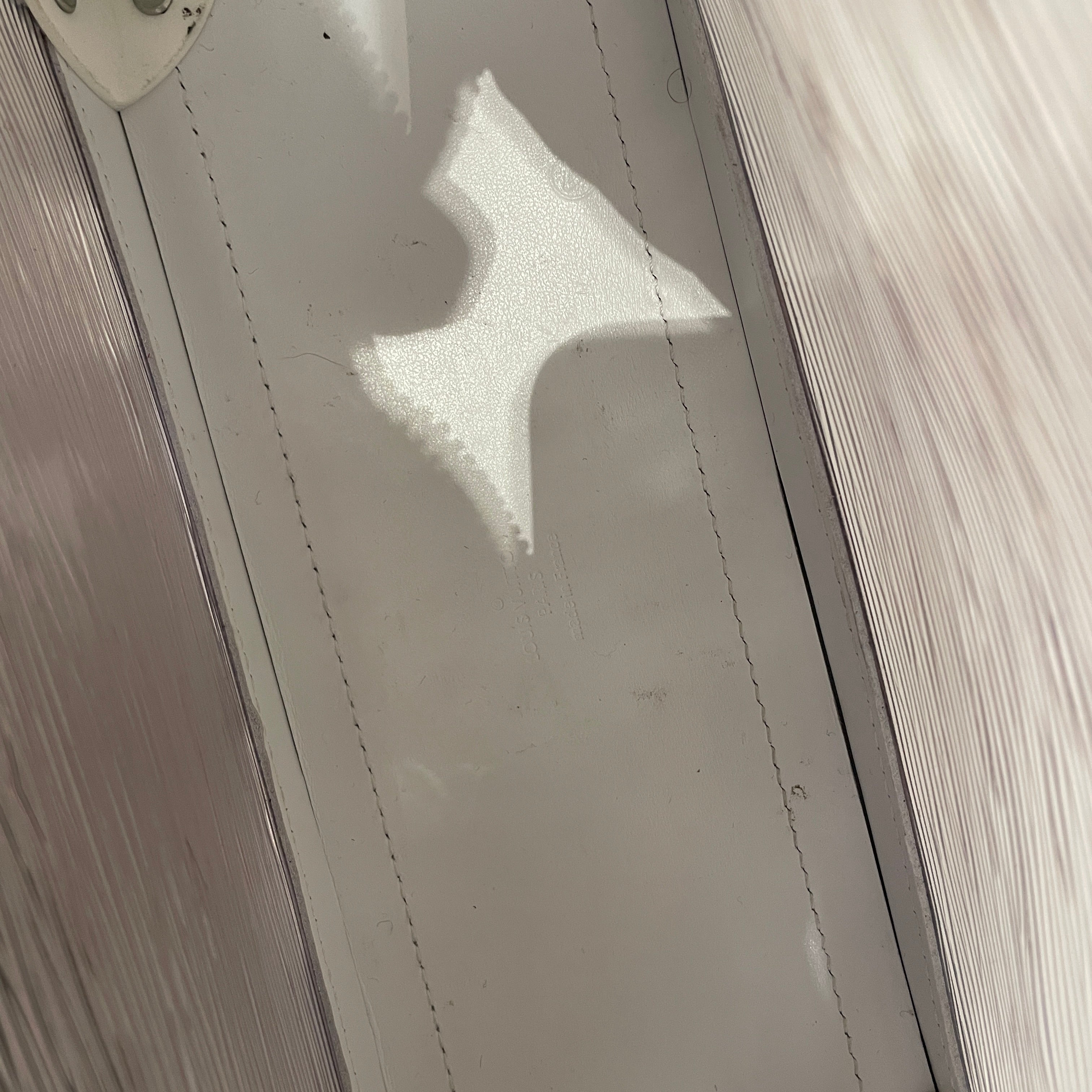 LOUIS VUITTON/Cross Body Bag/Leather/WHT/EPI SEE THROUGH BAG view 8