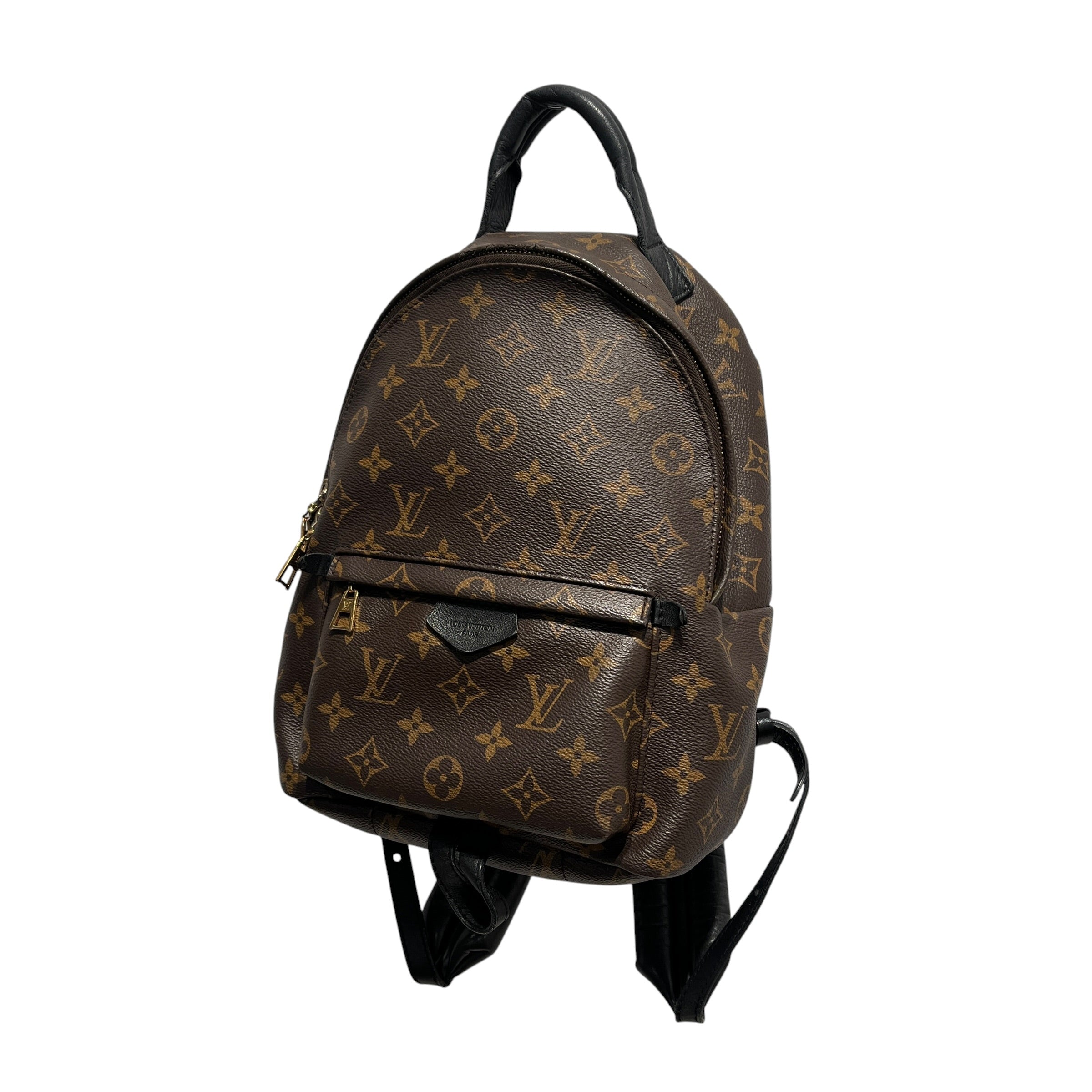 LOUIS VUITTON/Backpack/Monogram/Leather/BRW/palm springs PM backpack view 1
