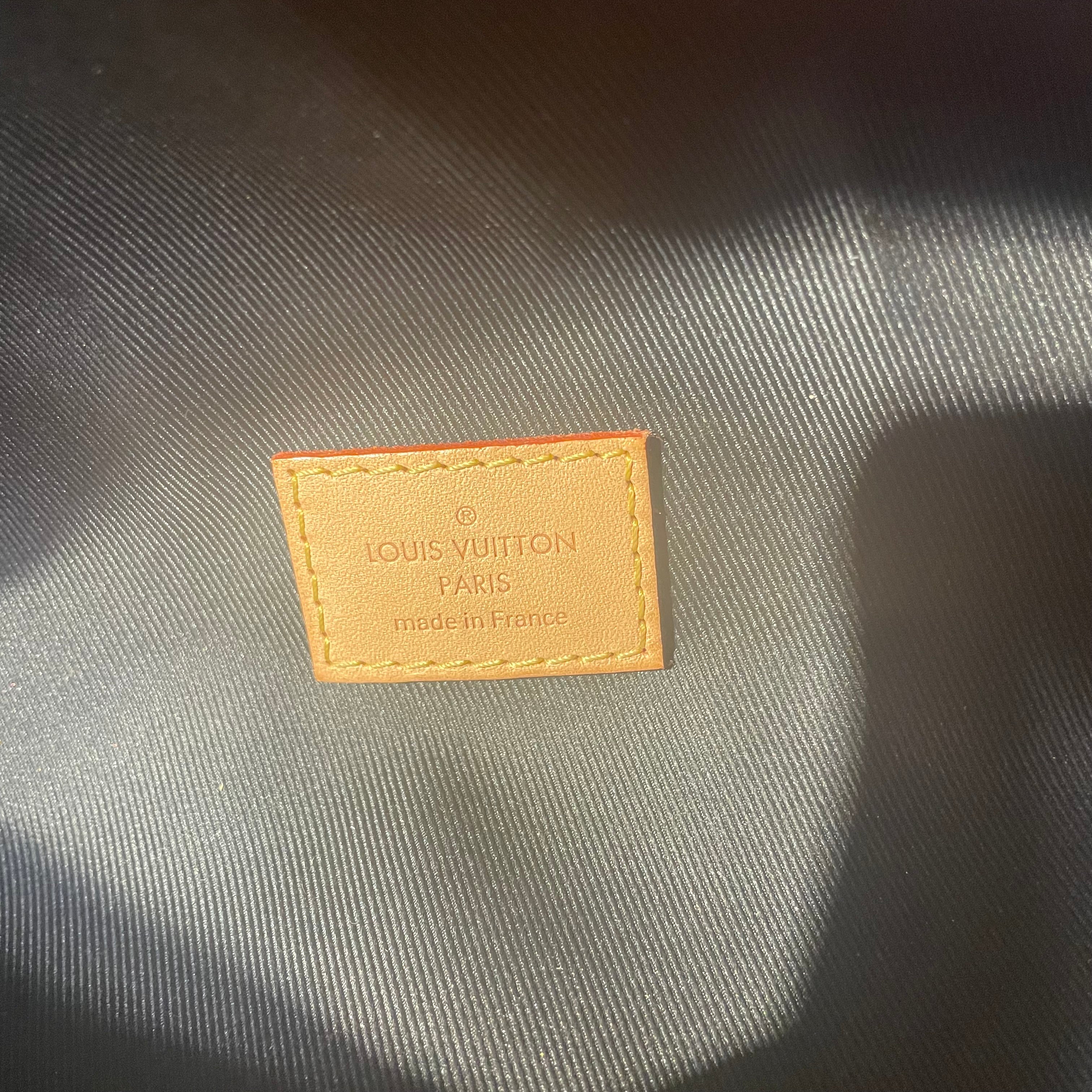 LOUIS VUITTON/Fanny Pack/Monogram/Leather/BRW/bum bag view 4