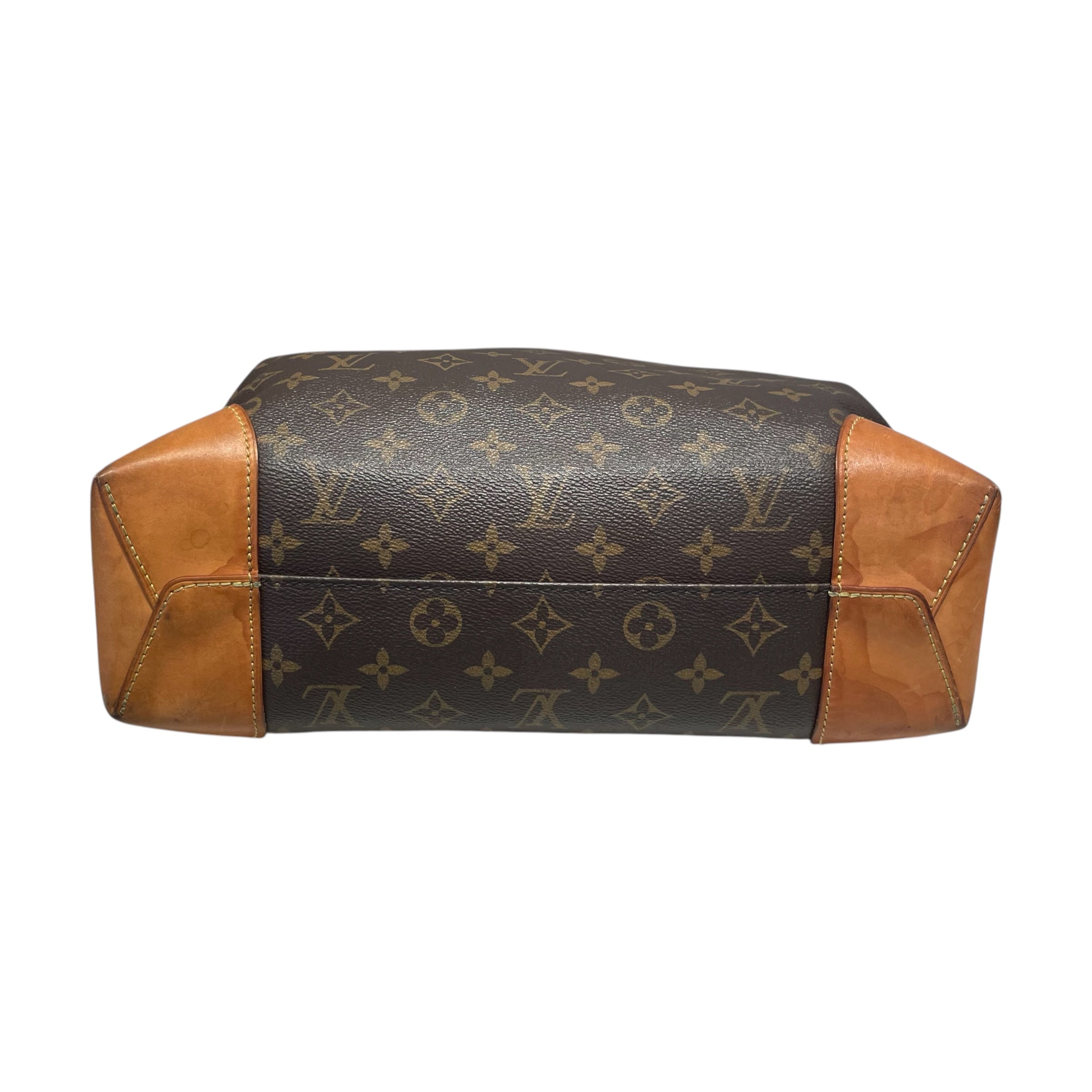 LOUIS VUITTON/Bag/Monogram/BRW/Berri signature coated canvas view 3