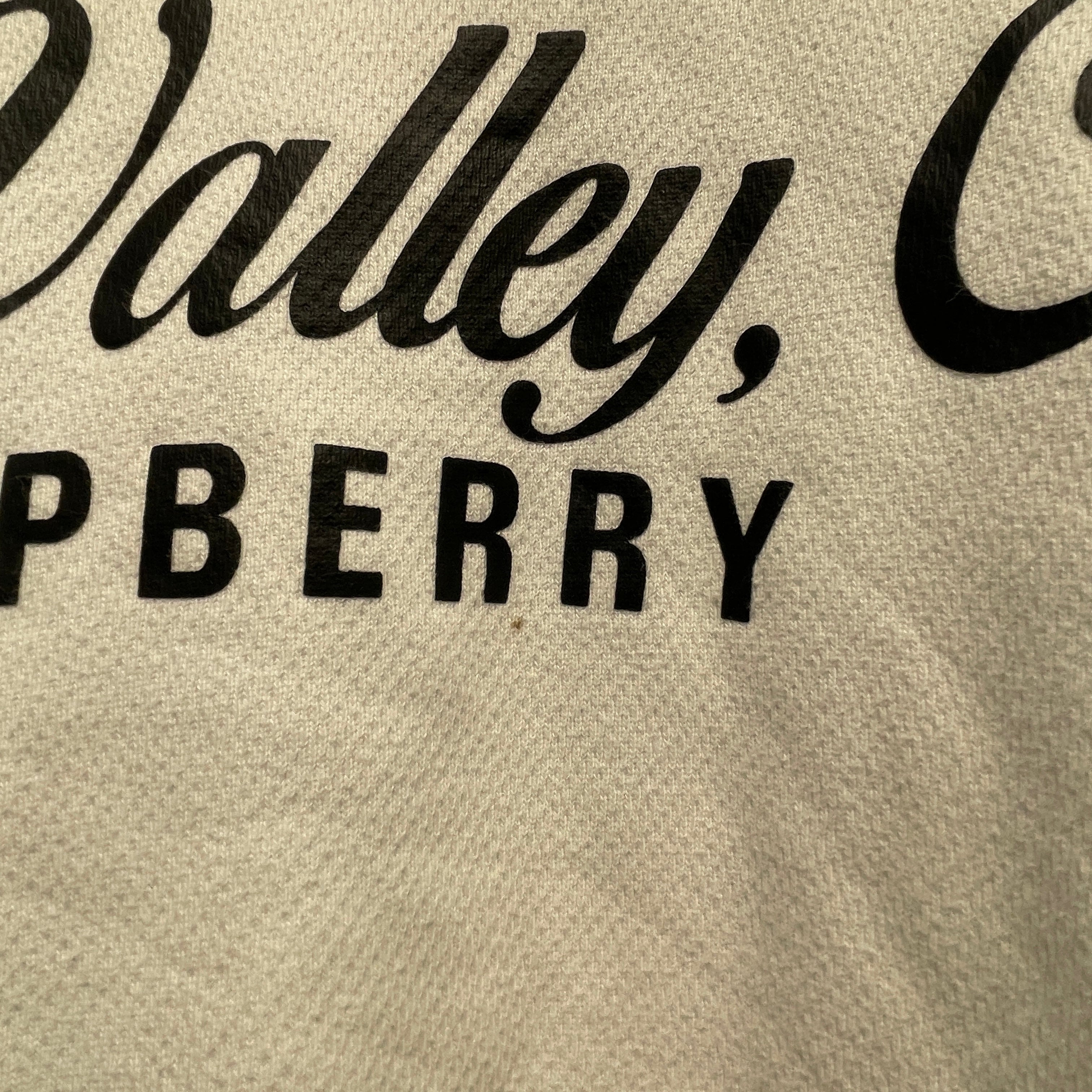 Raspberry Hills/Zip Up Hoodie/XL/Cotton/WHT/sun valley view 5