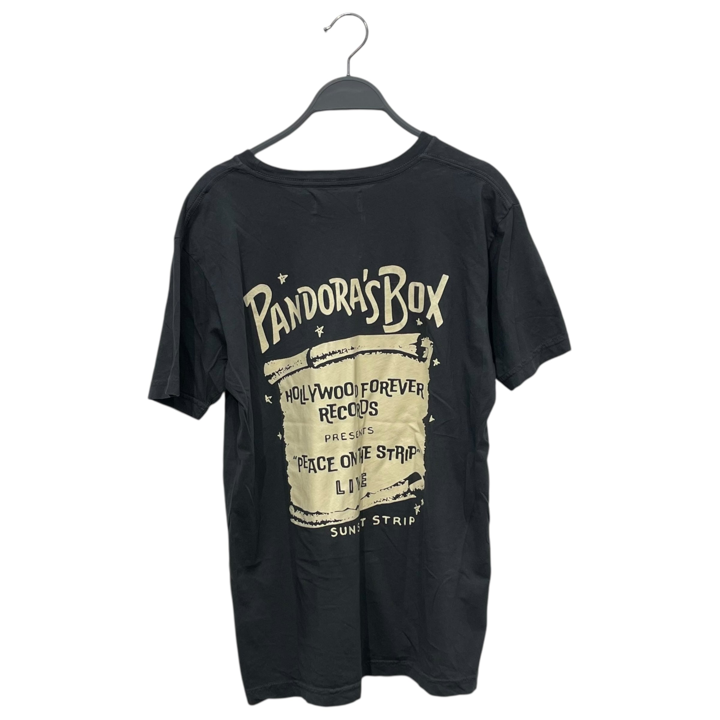 Hollywood Forever Records/T-Shirt/S/Cotton/GRY/PANDOAS BOX BACK LOGO view 2
