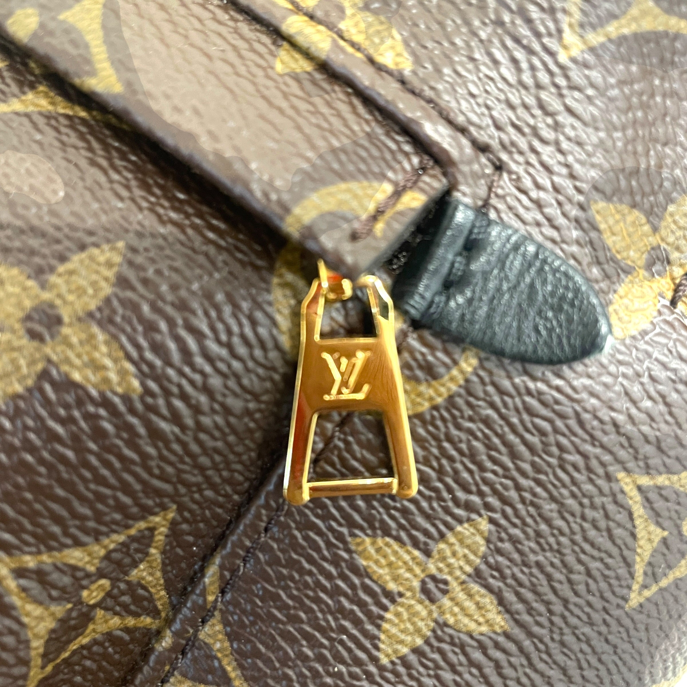 LOUIS VUITTON/Backpack/Monogram/Leather/BRW/Palm Strings PM view 3
