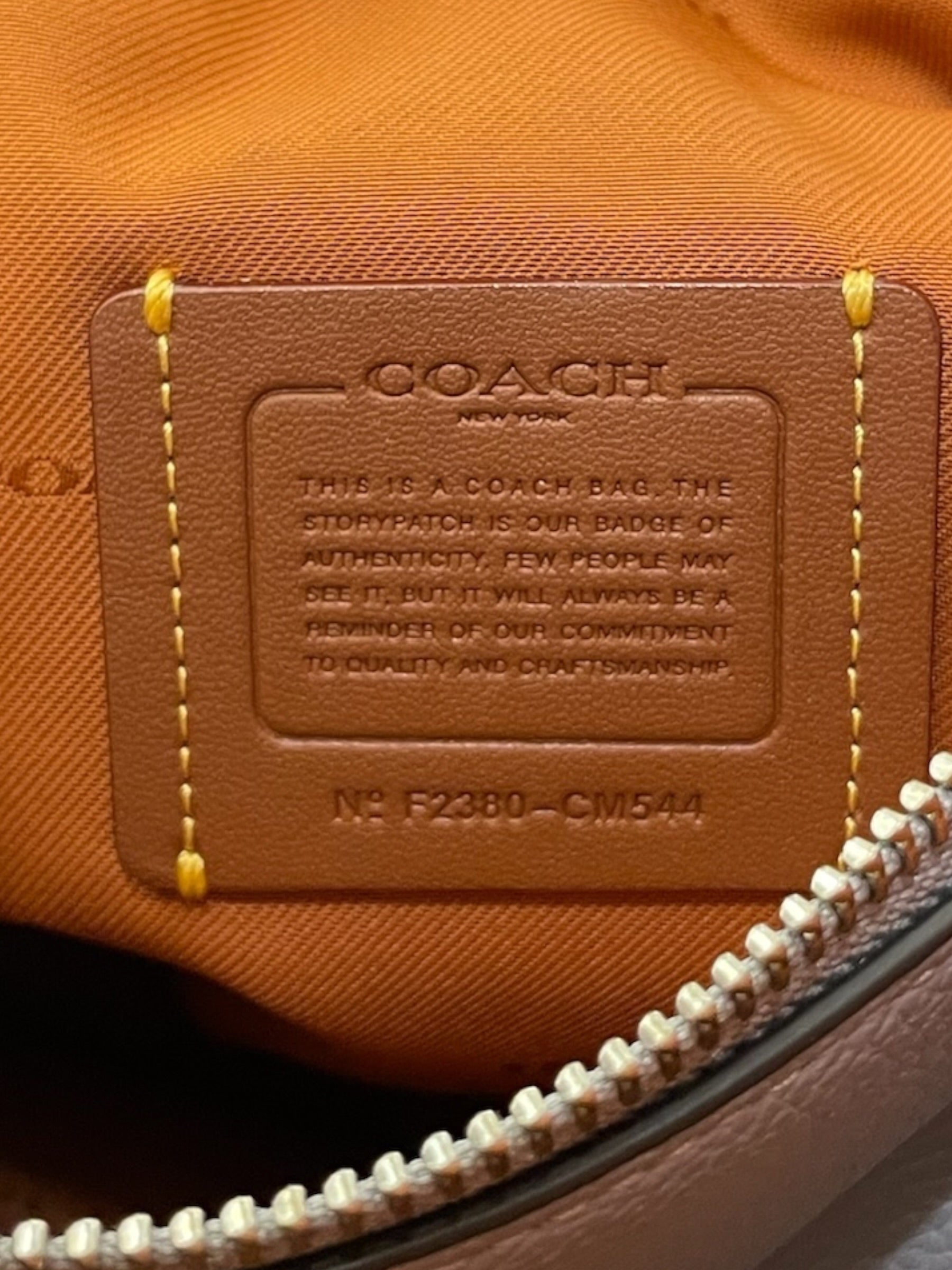 COACH/Tote Bag/Leather/BLU/LIGHT BLUE LANA view 4