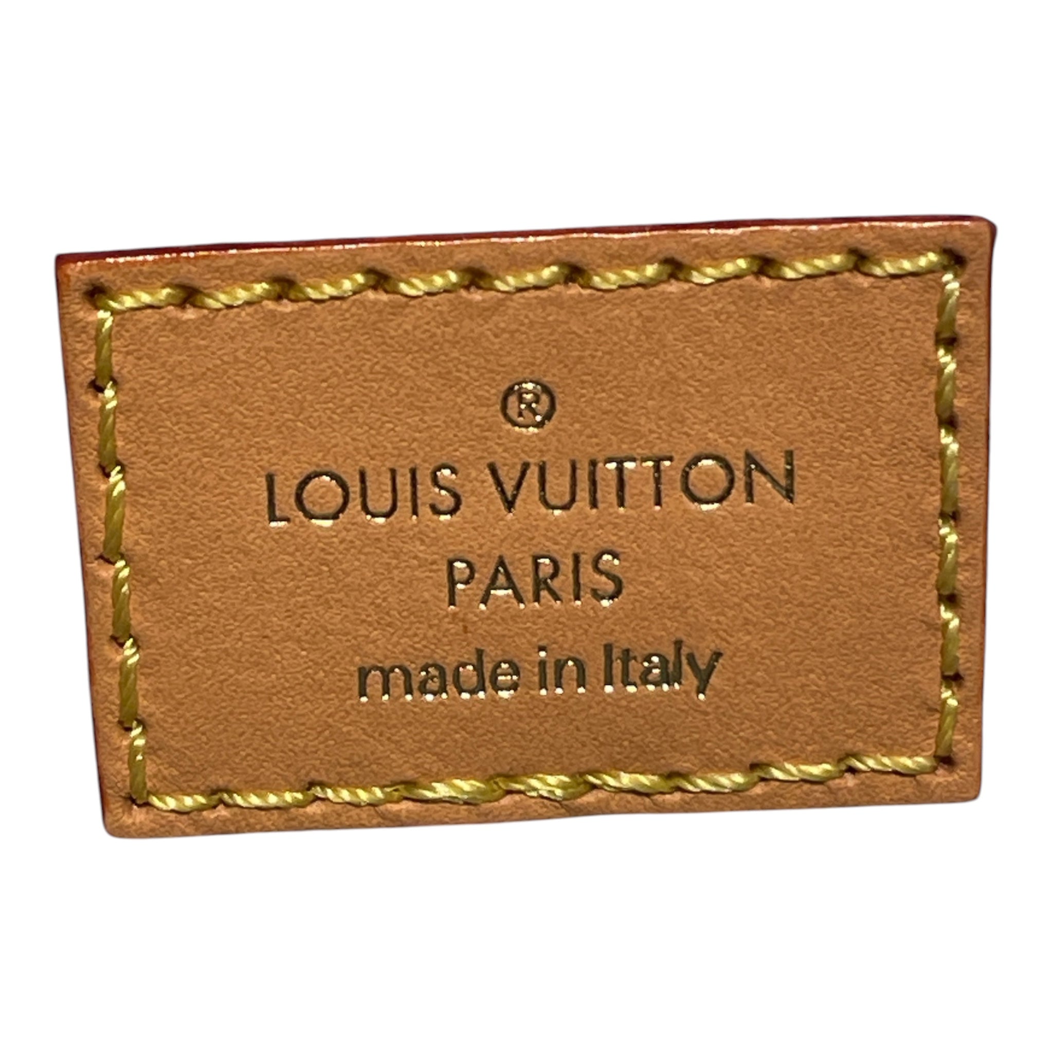 LOUIS VUITTON/Tote Bag/Monogram/Leather/BLU/"BY THE POOL" ON THE GO view 3
