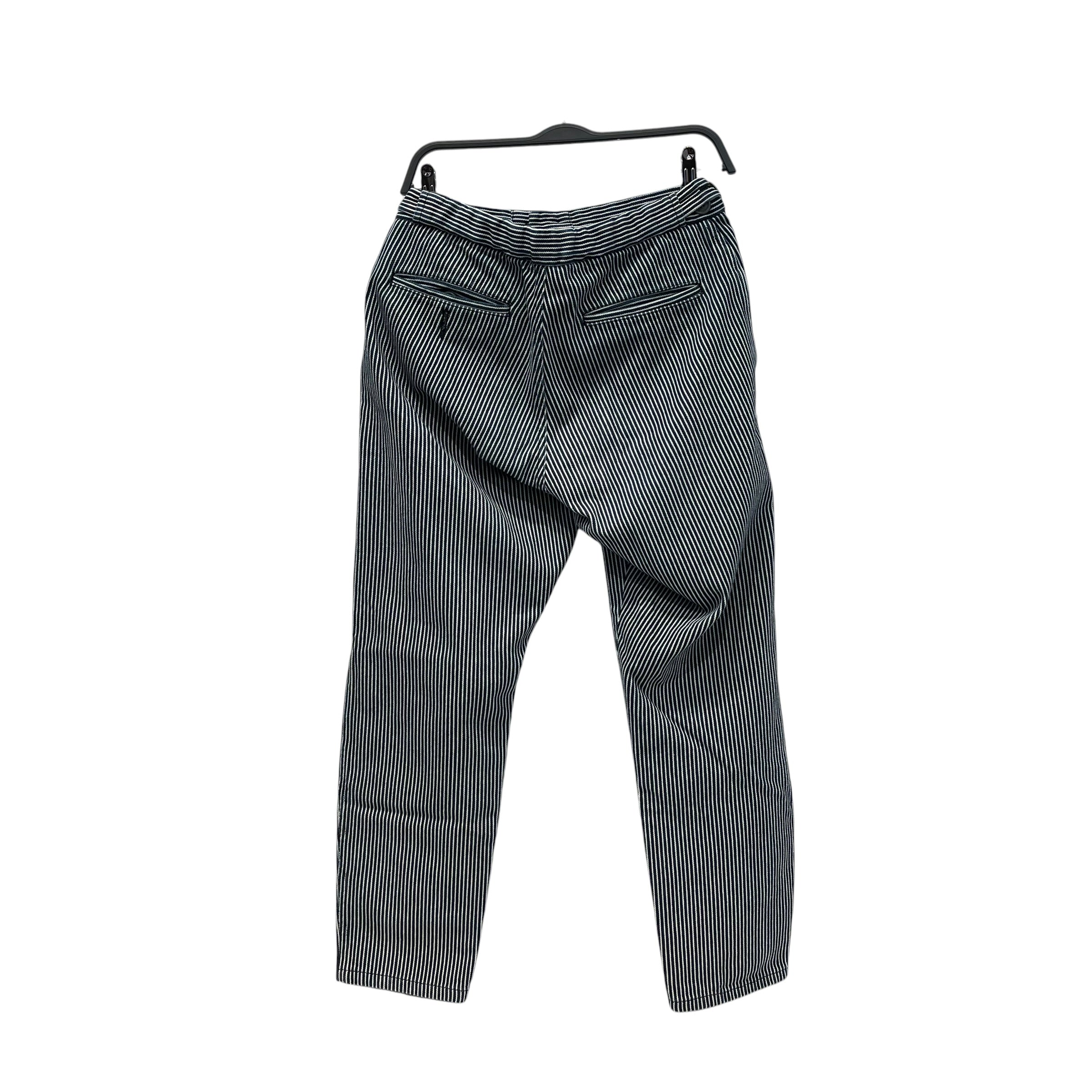 COMME des GARCONS HOMME/Pants/M/Cotton/NVY/Stripe/ view 2