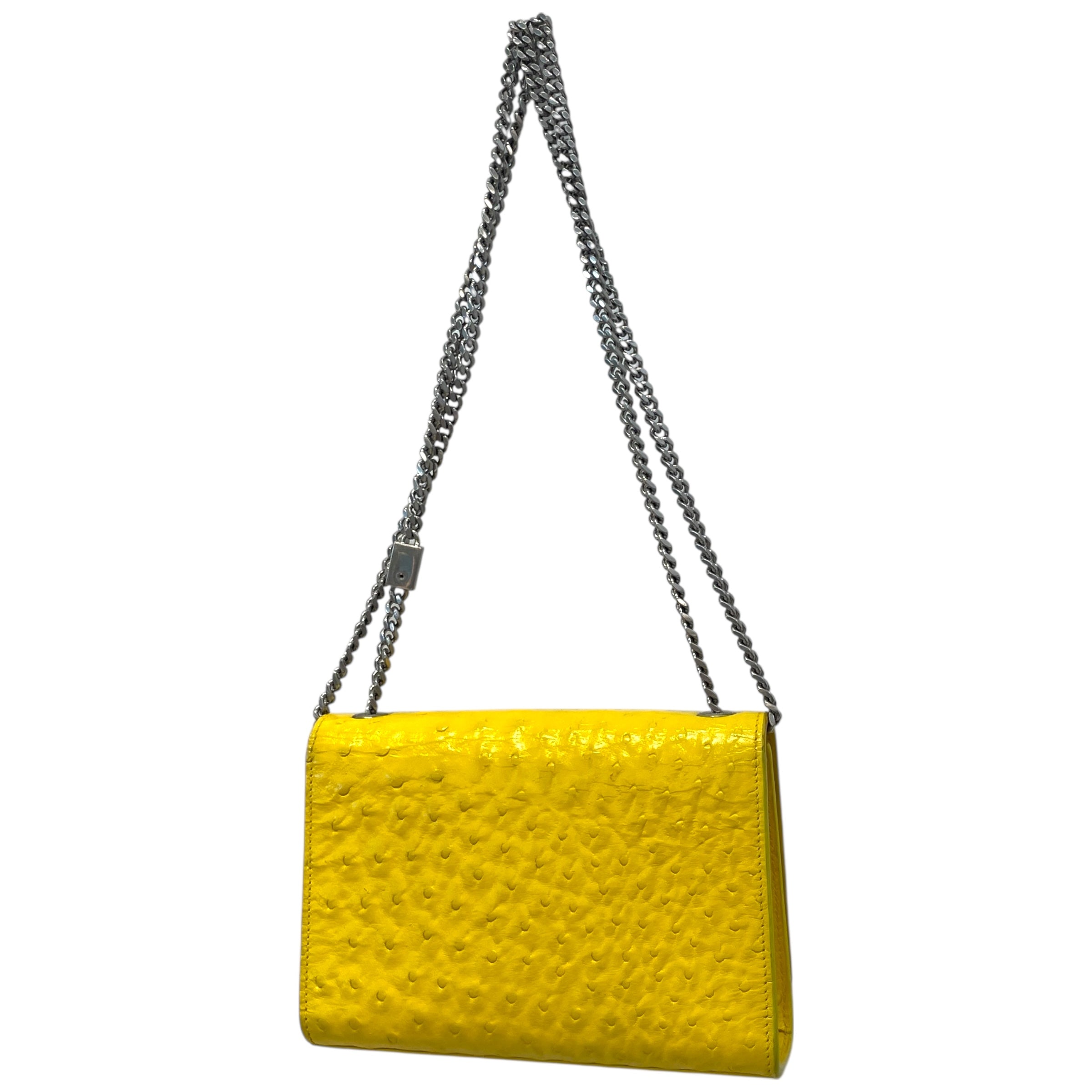 SAINT LAURENT/Cross Body Bag/Leather/YEL/Ostritch Kate view 2