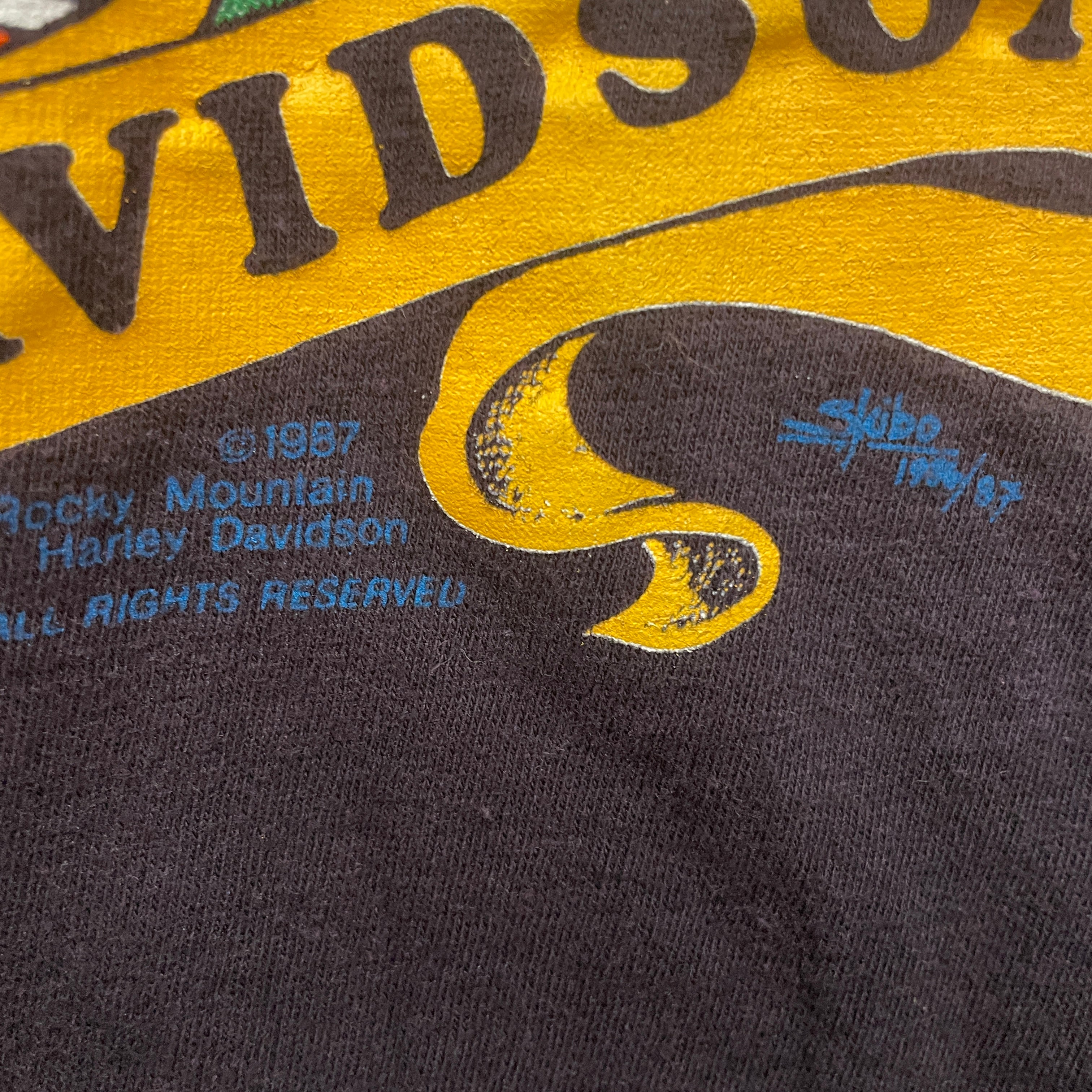 HARLEY DAVIDSON/T-Shirt/S/Cotton/BLK/GOD CREATED HARLEY view 5