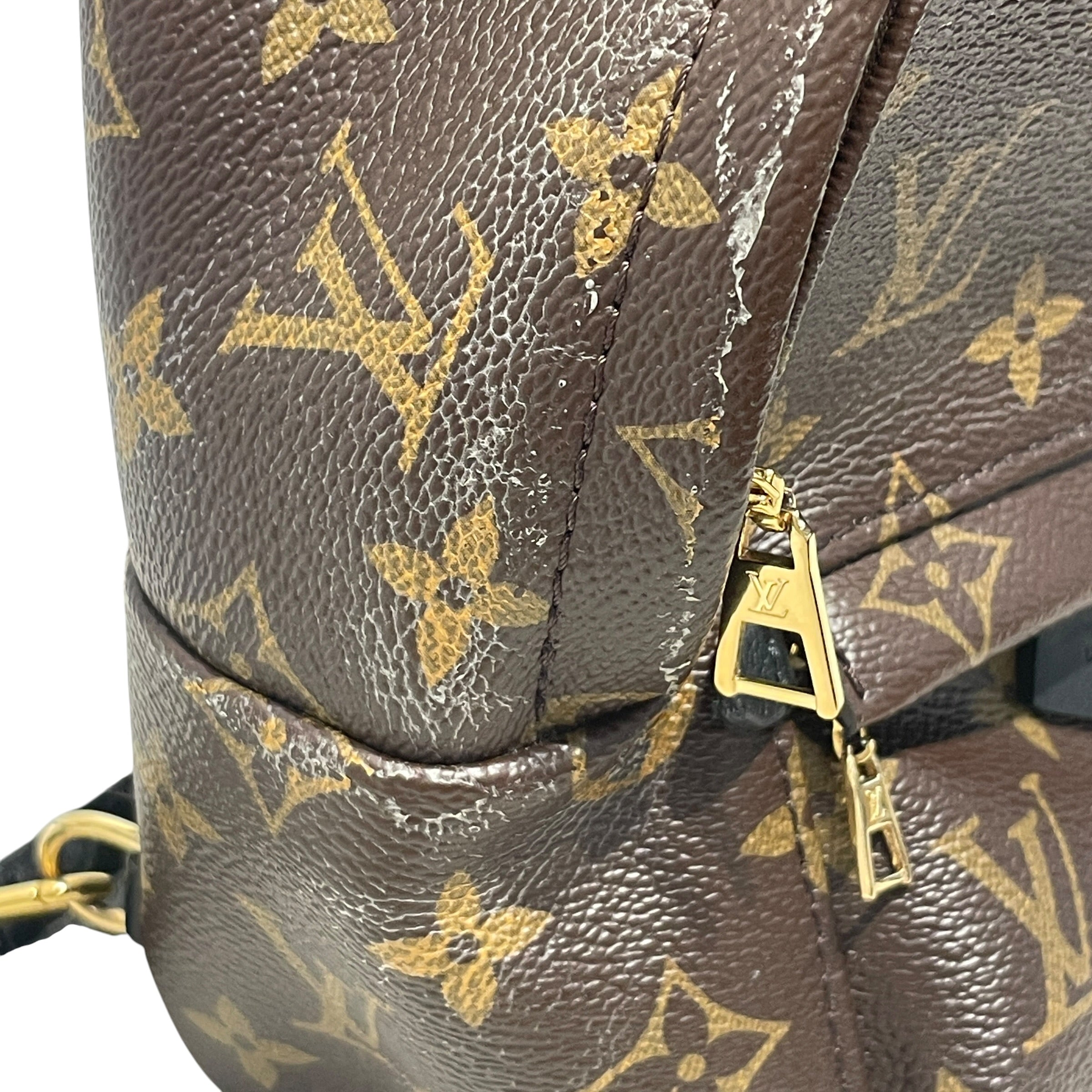 LOUIS VUITTON/Backpack/Monogram/Leather/BRW/PALM SPRINGS MINI view 8