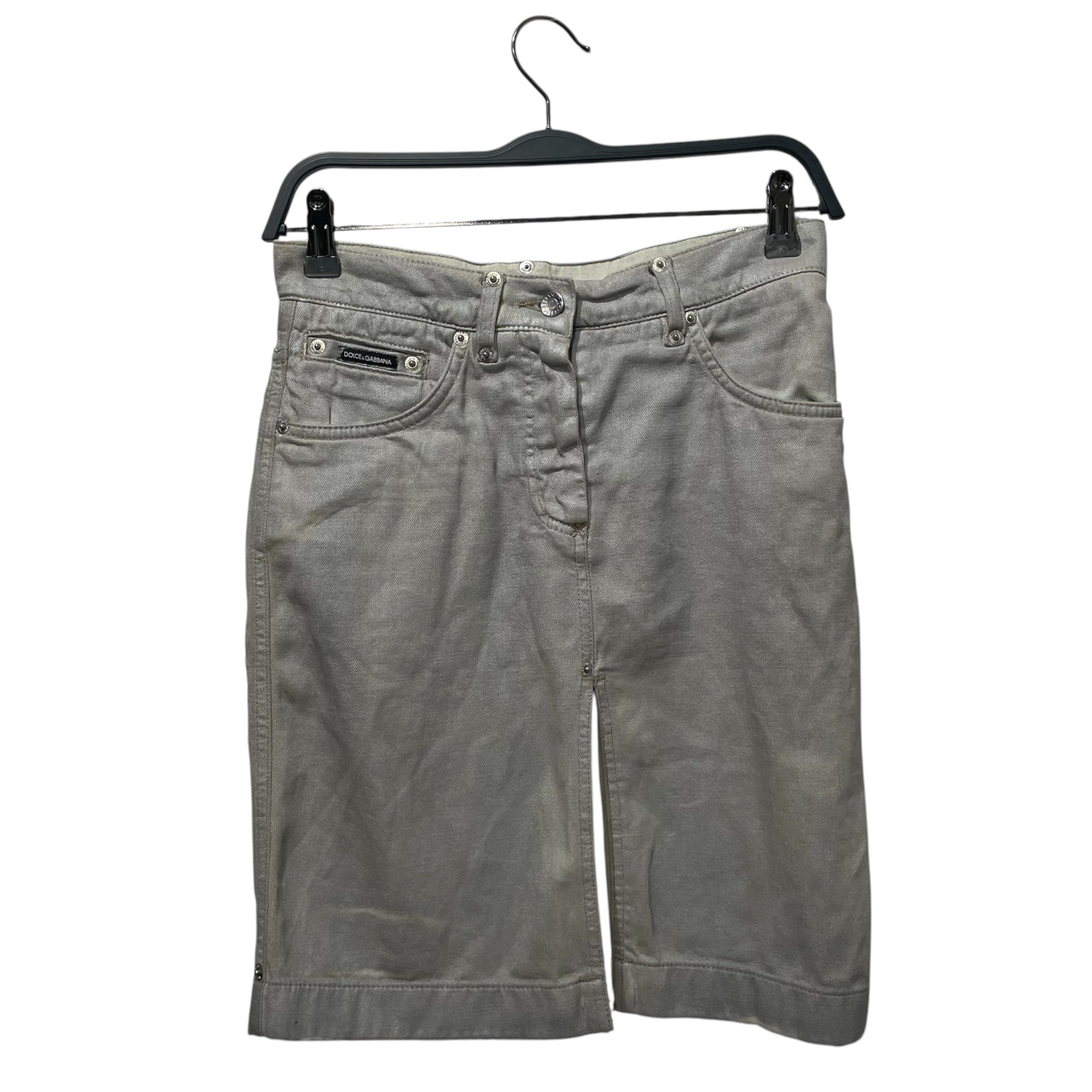 DOLCE&GABBANA/Long Skirt/38/Cotton/SLV/GOLD DG view 1