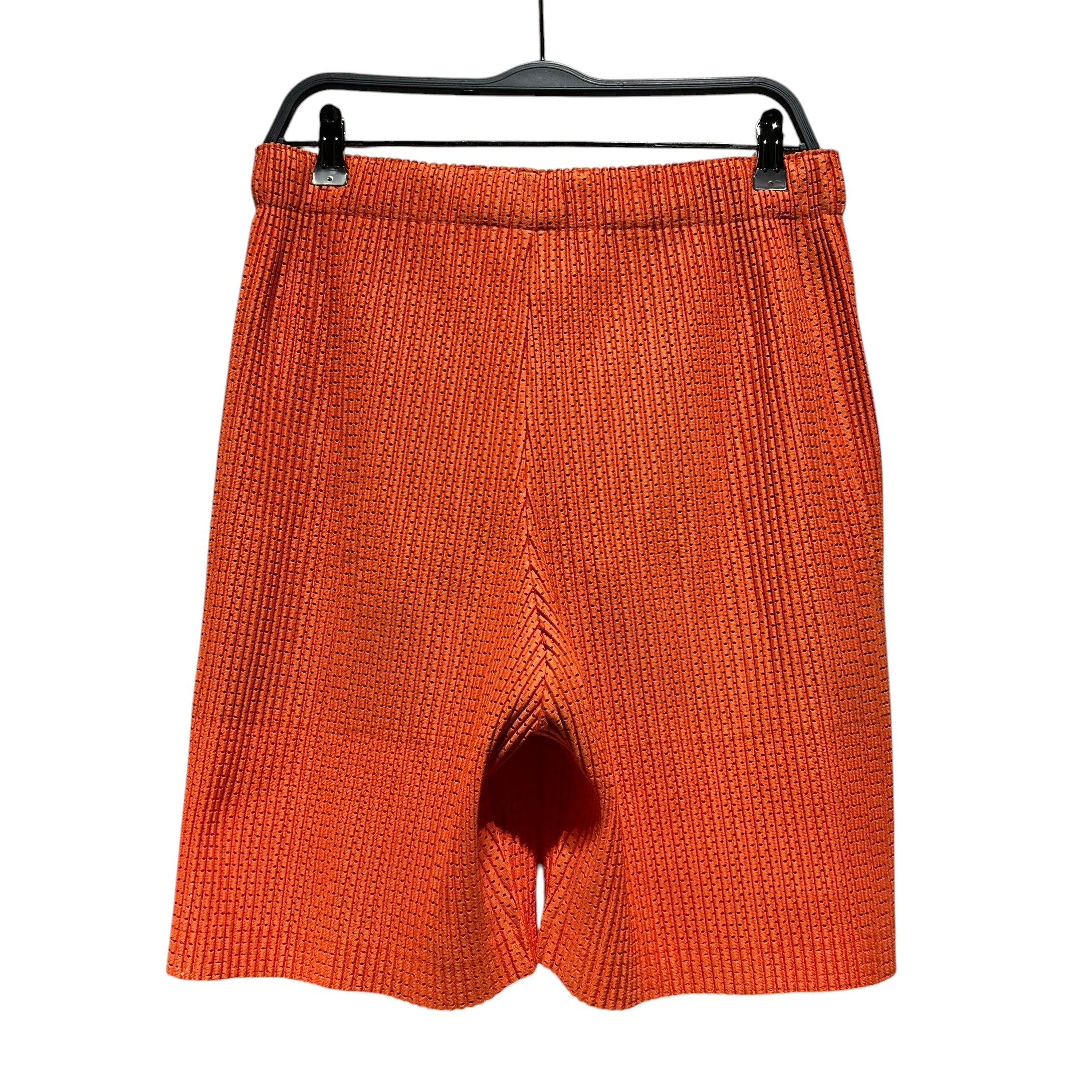 PLEATS PLEASE ISSEY MIYAKE/Shorts/3/Polyester/ORN/HOMME PLISSE view 2