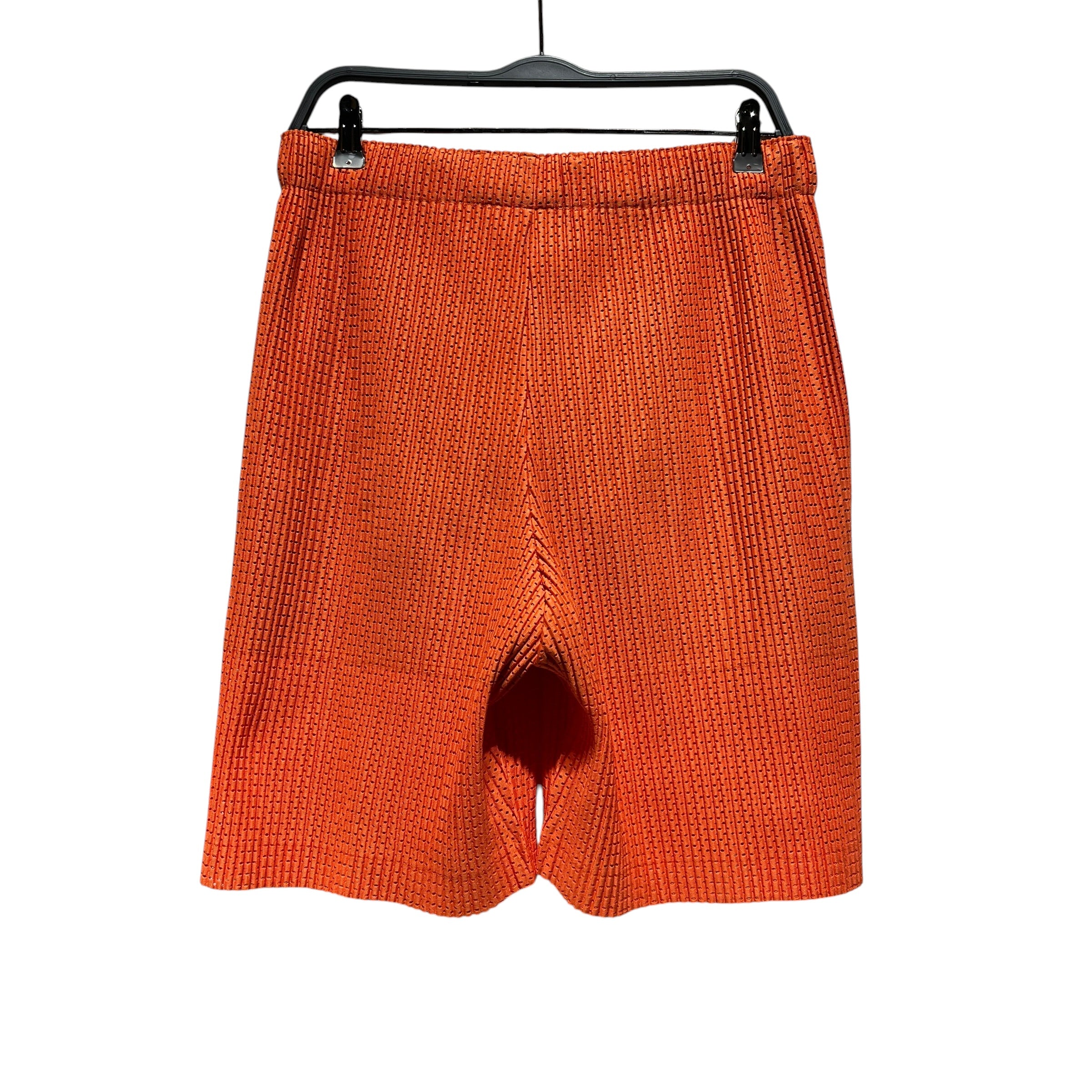 PLEATS PLEASE ISSEY MIYAKE/Shorts/3/Polyester/ORN/HOMME PLISSE view 2