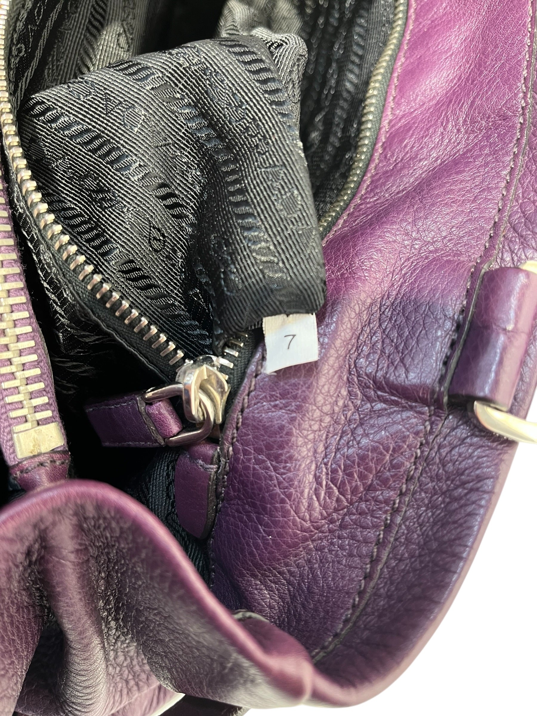 PRADA/Bag/Leather/PPL/Vitello Daino view 8
