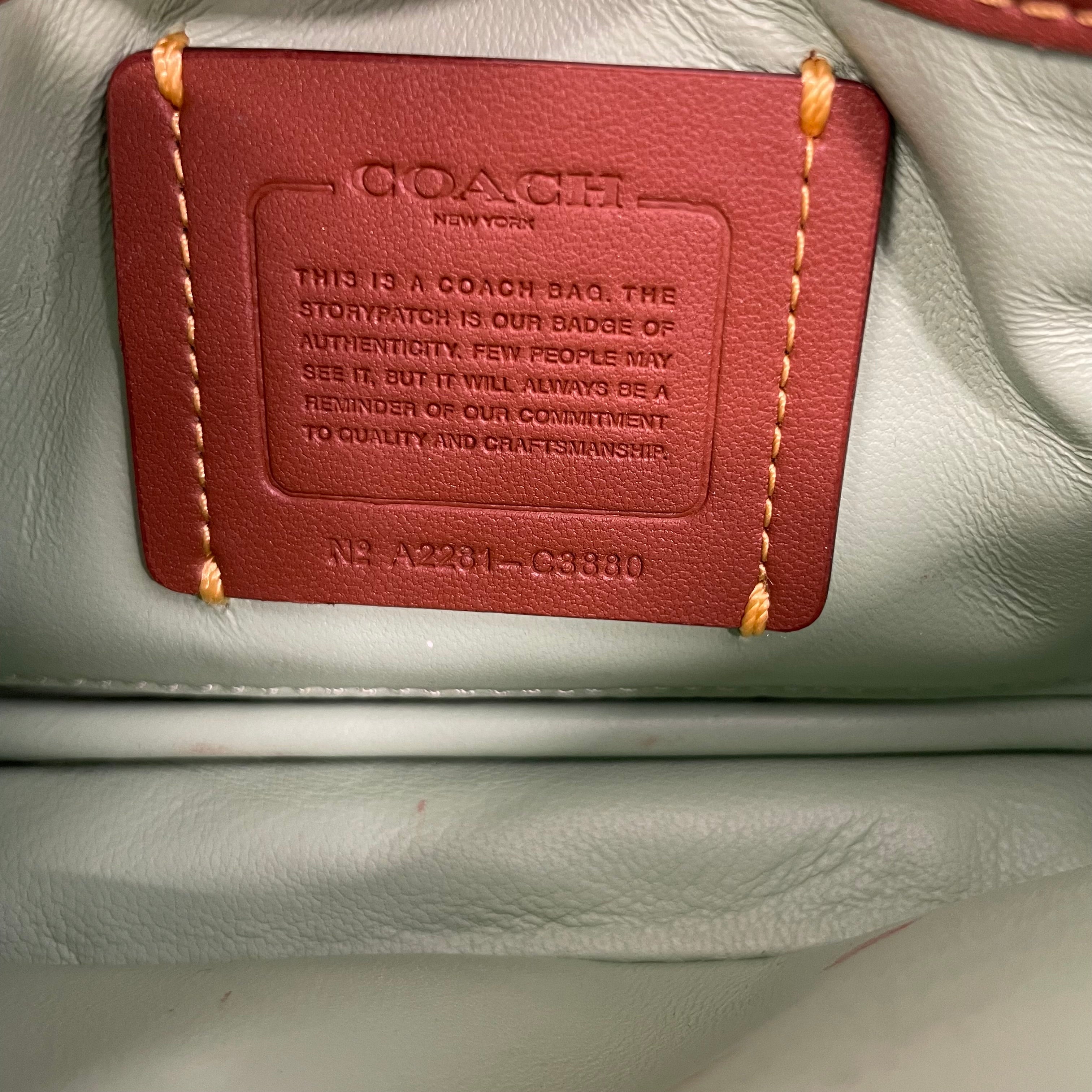 COACH/Hand Bag/Leather/GRN/PILLOW TABBY MINI/MINT GRN view 4