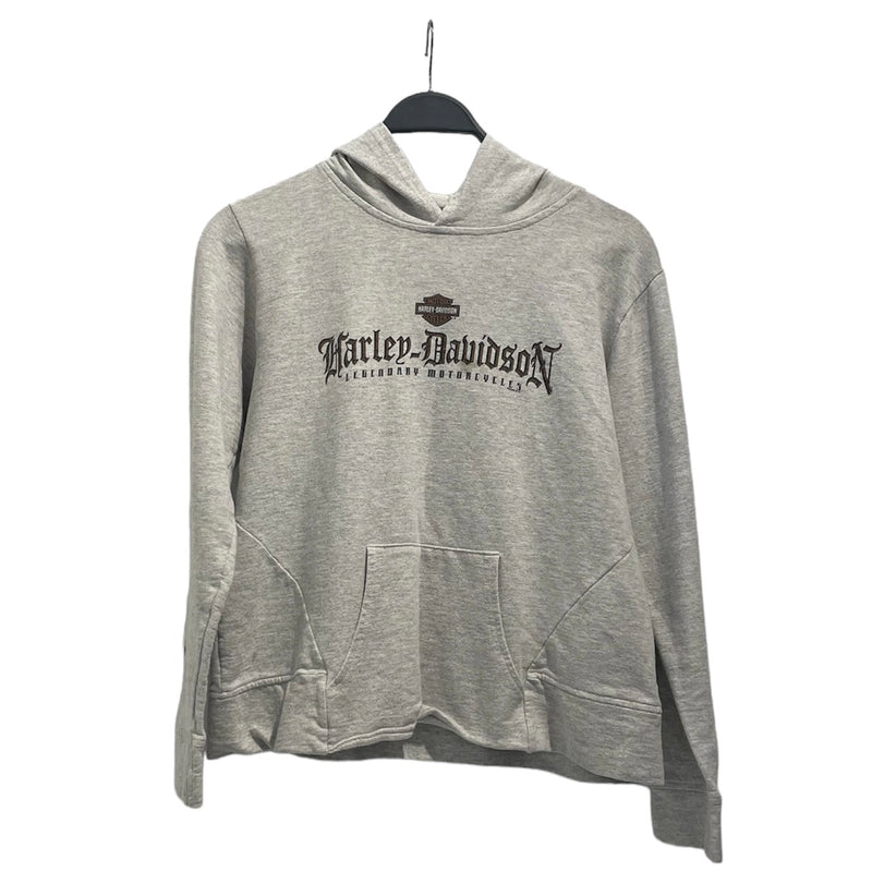 HARLEY DAVIDSON/Hoodie/Cotton/GRY/