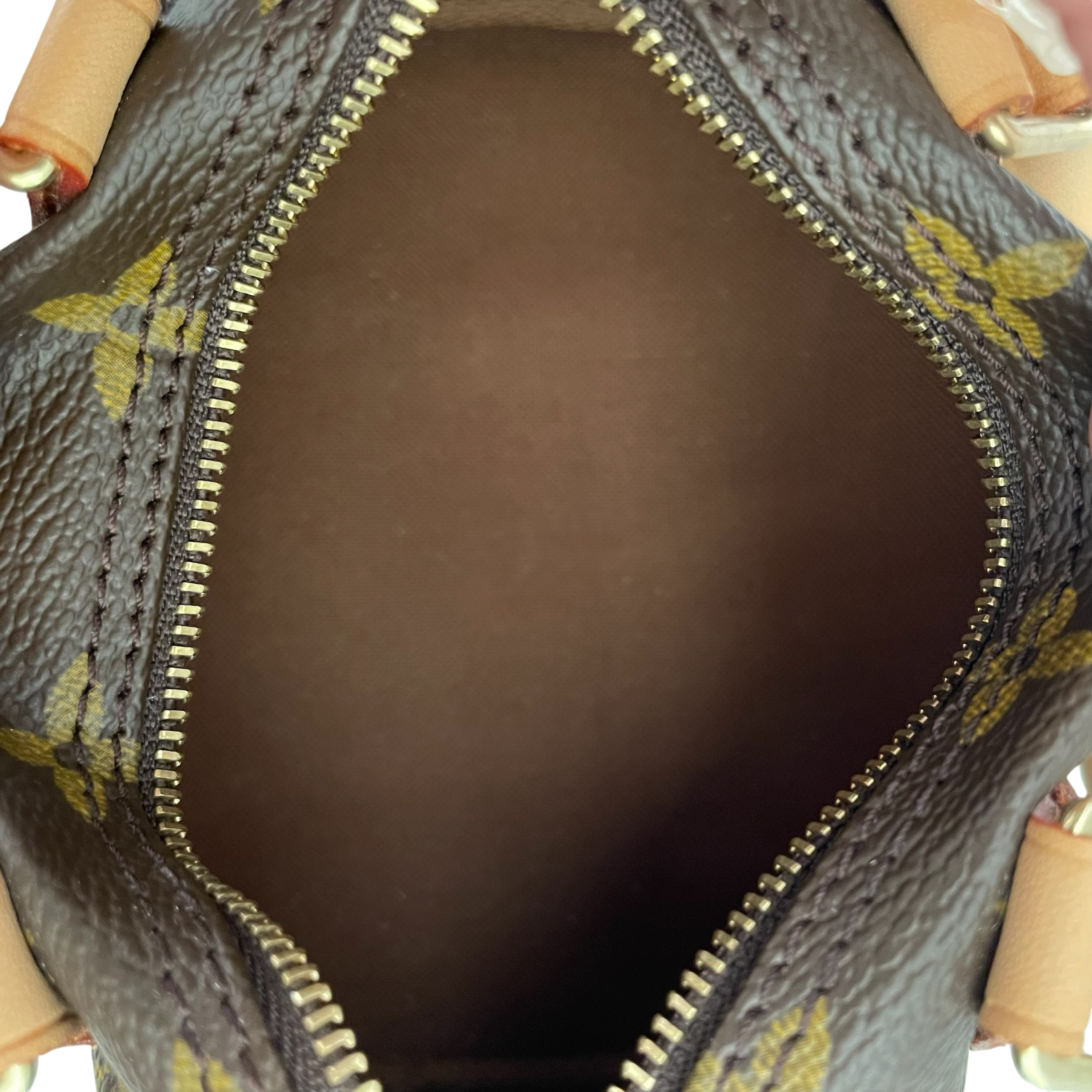 LOUIS VUITTON/Bag/Monogram/Leather/BRW/NANO SPEEDY view 9