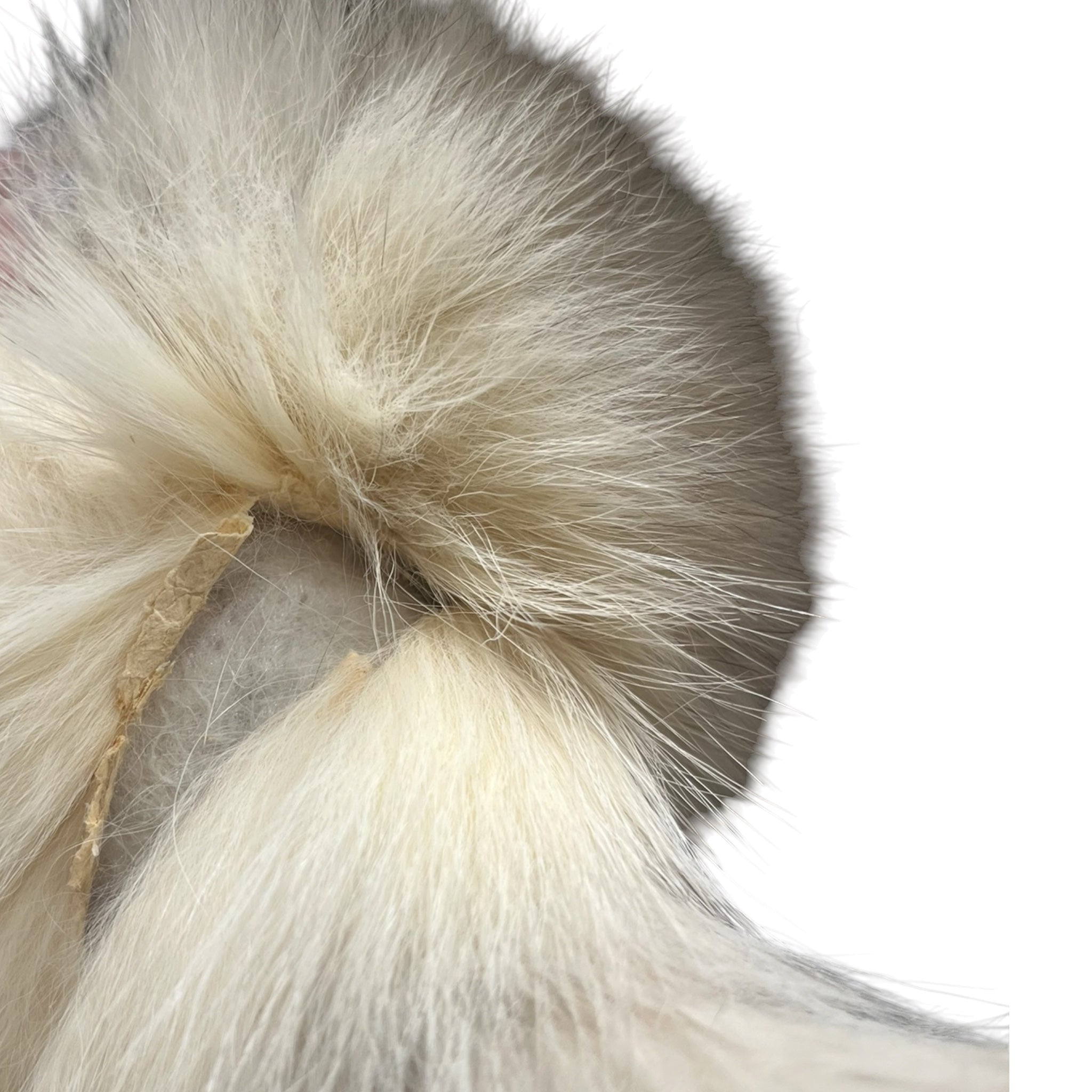 SAGA FOX/Coat/S/Fur/CRM/SAGA FOX MINK FUR COAT view 5