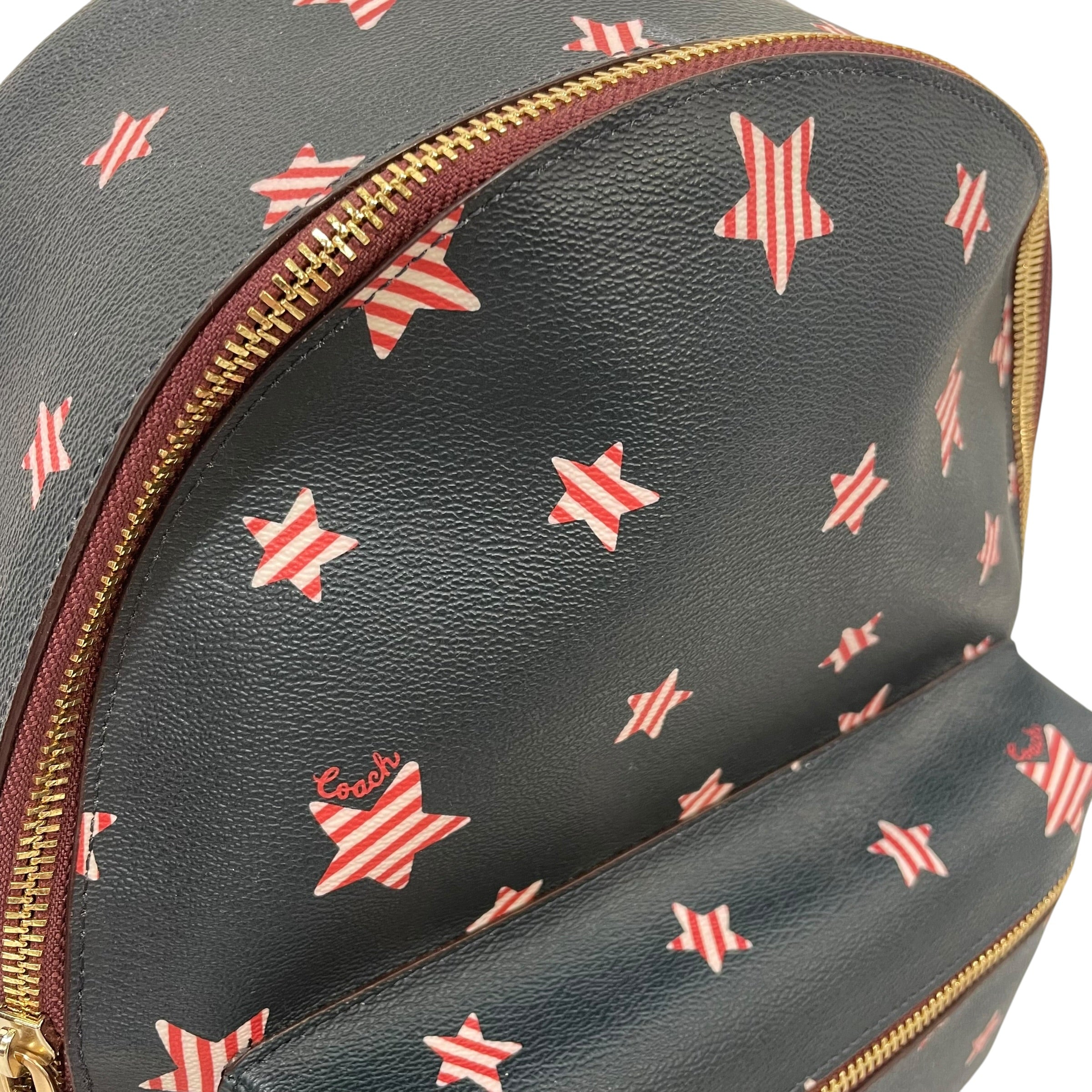 COACH/Backpack/All Over Print/NVY/ view 6