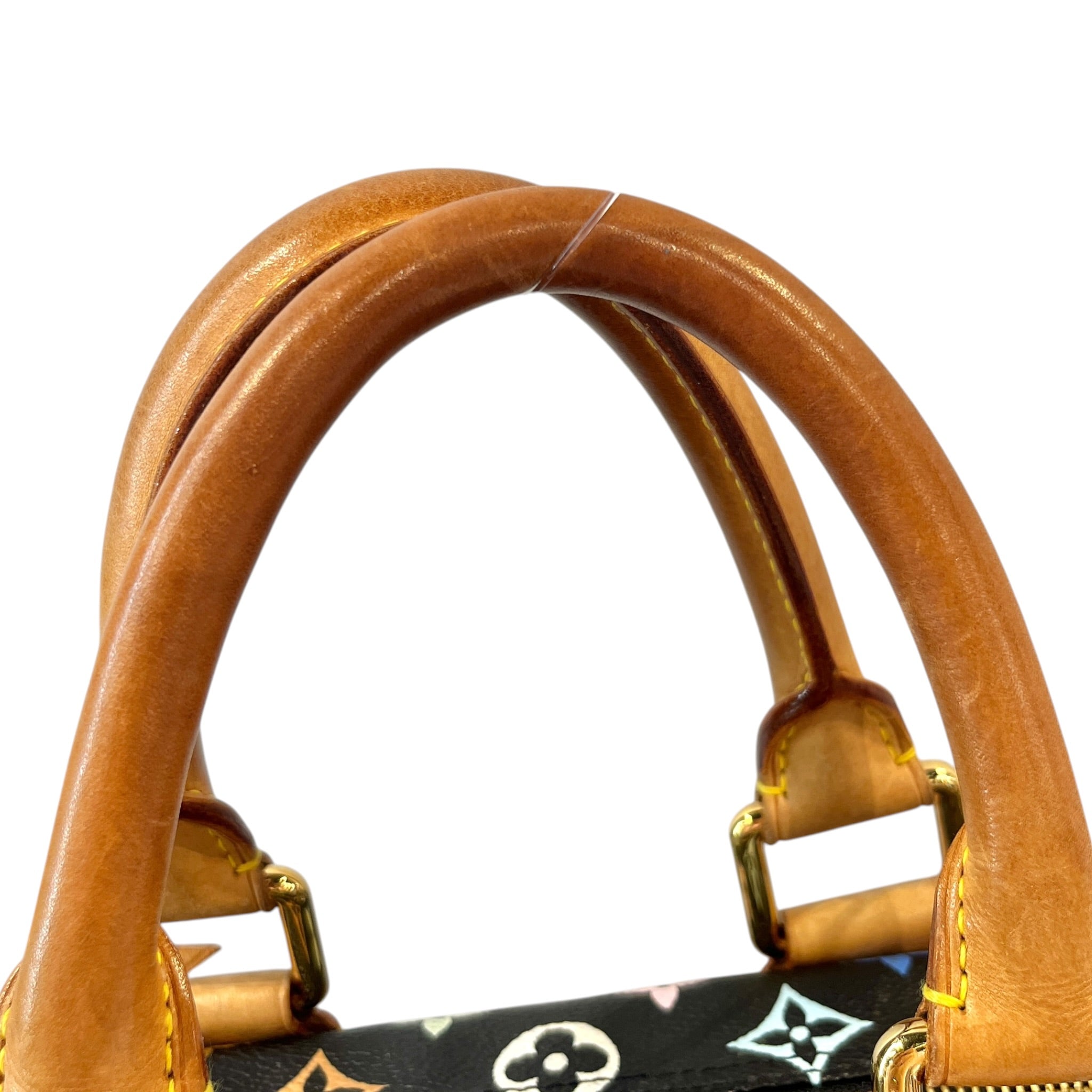 LOUIS VUITTON/Boston Bag/Monogram/BLK/MURAKAMI SPEEDY 30 MULTICOLOR view 8