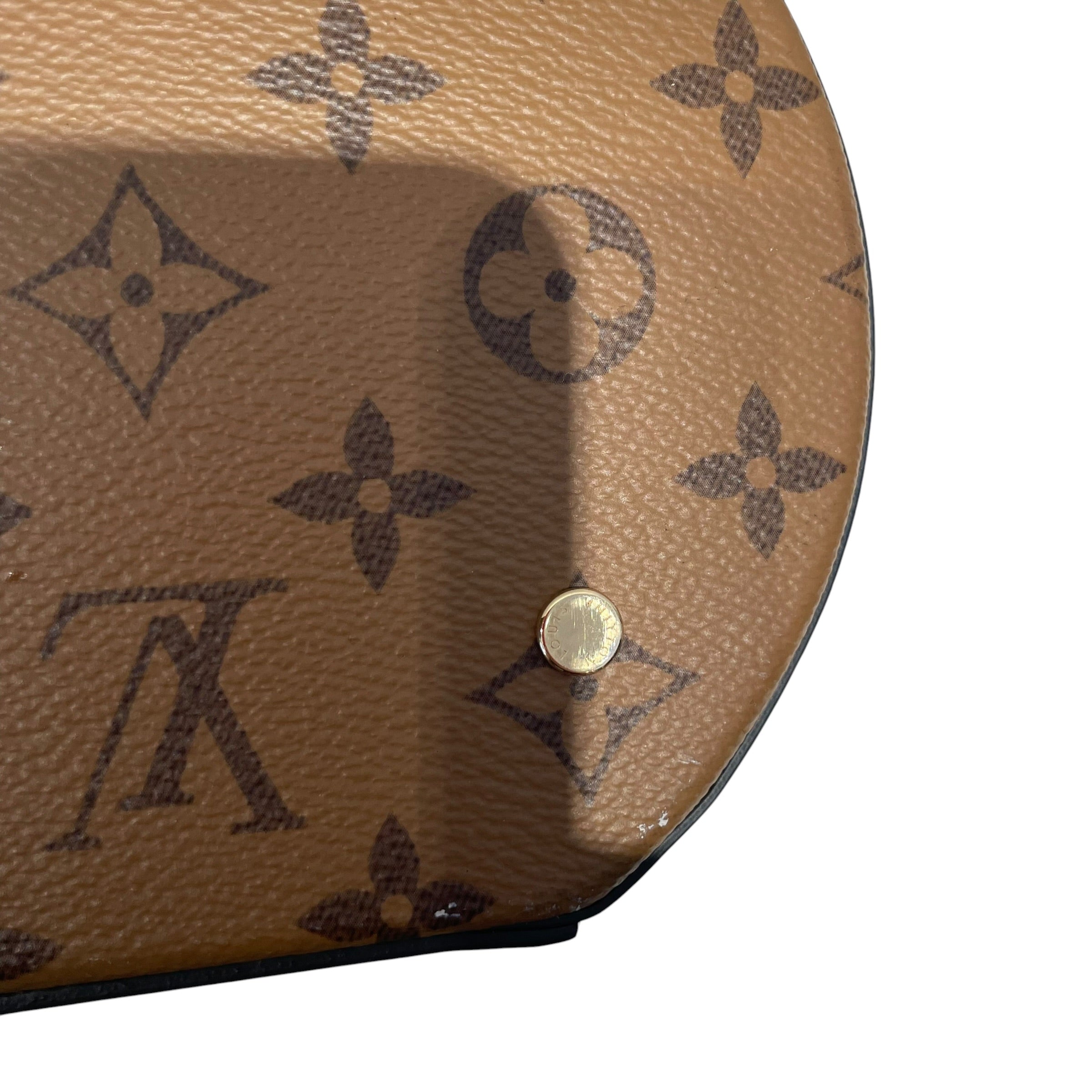 LOUIS VUITTON/Cross Body Bag/All Over Print/Leather/BRW/Louis Vuitton Cannes Hand Bag view 9