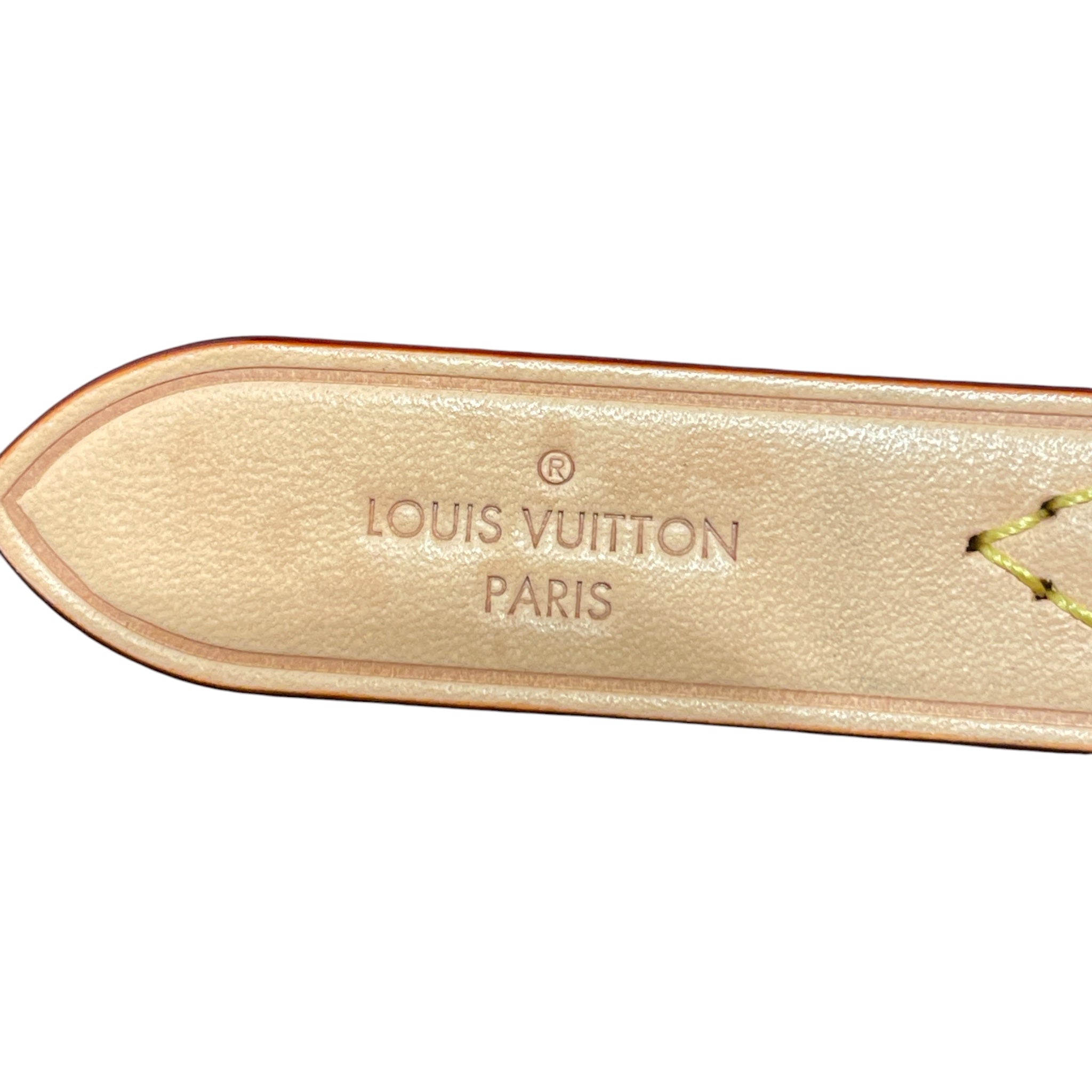 LOUIS VUITTON/Cross Body Bag/Monogram/BRW/Monogram Neonoe BB Bucket Bag view 4