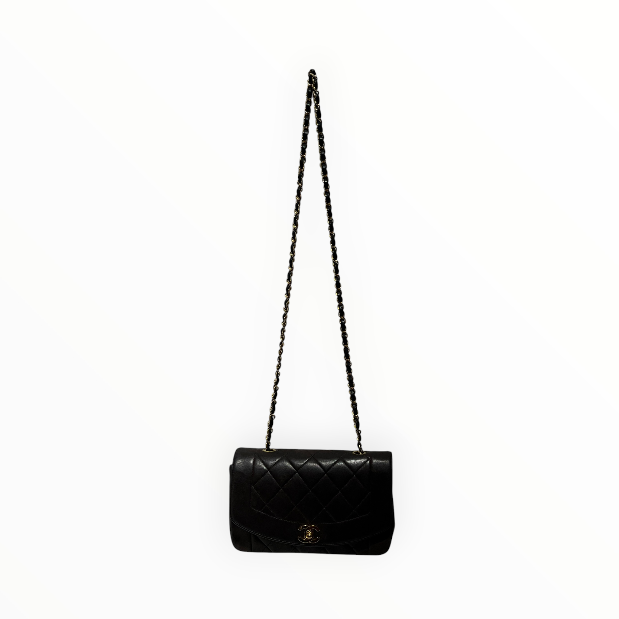 CHANEL/Cross Body Bag/Leather/BRW/diana bag view 1
