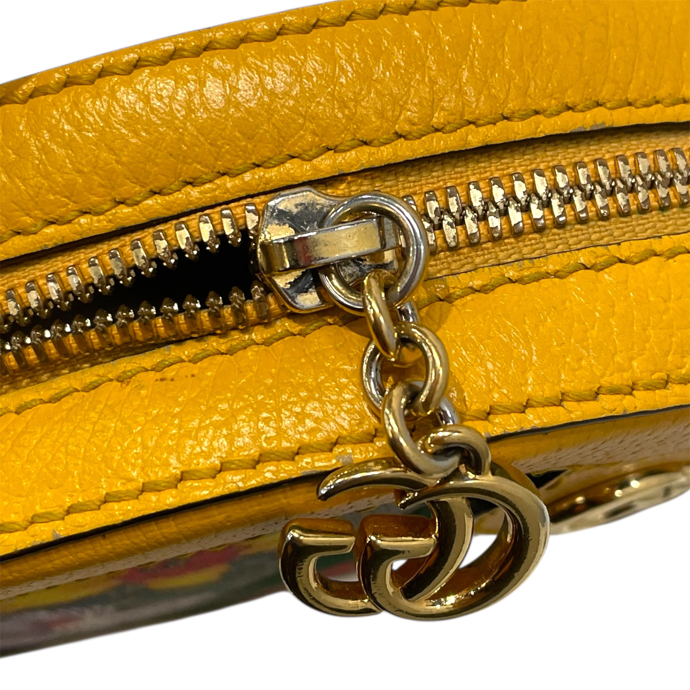 GUCCI/Cross Body Bag/Floral Pattern/Leather/MLT/Ophidia Mini GG Flora Round view 5