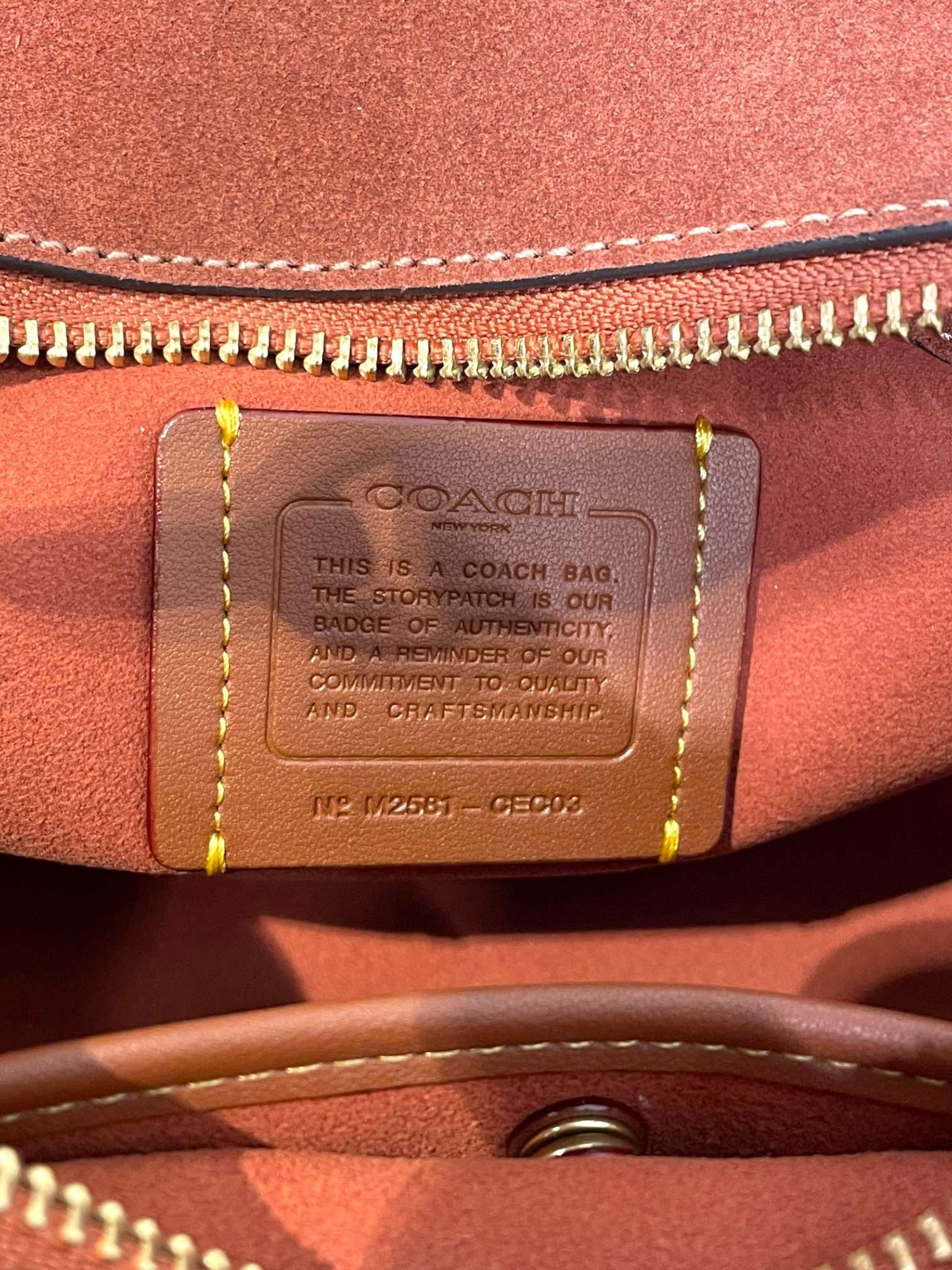 COACH/Cross Body Bag/Suede/BRW/soft empire carryall view 6