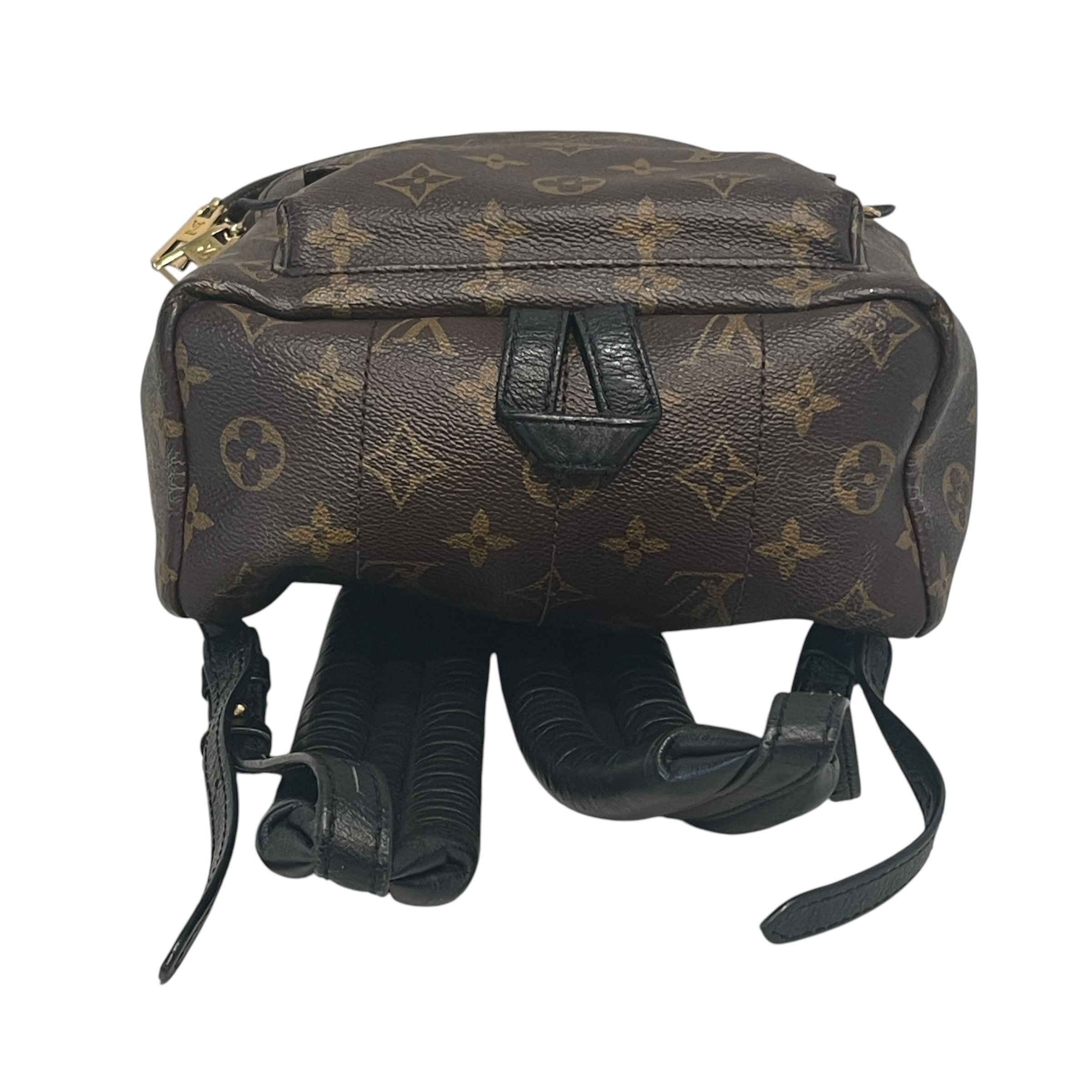 LOUIS VUITTON/Backpack/Monogram/Leather/BRW/Monogram Palm Springs view 3