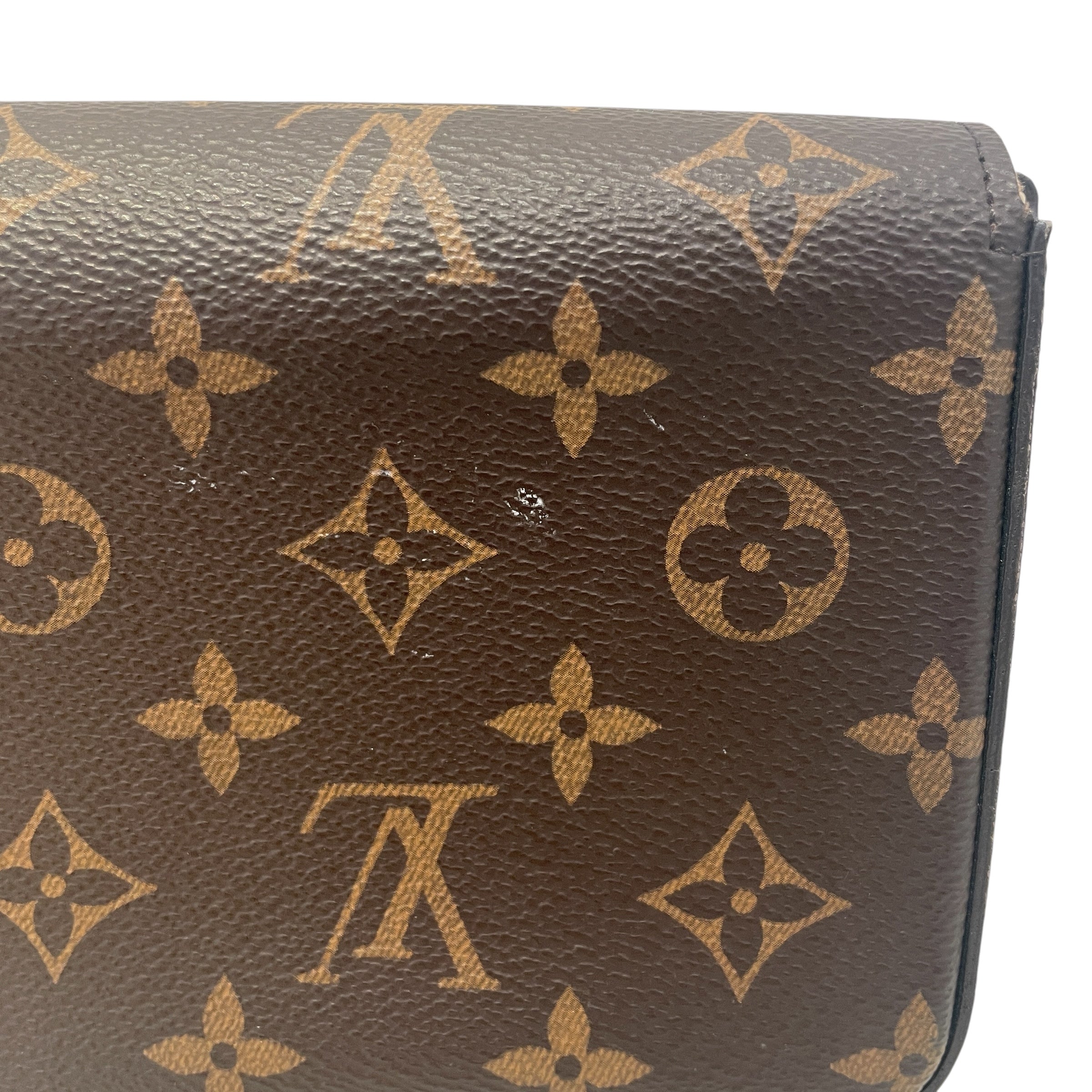 LOUIS VUITTON/Cross Body Bag/Monogram/Leather/BRW/Felicie Pochette view 7