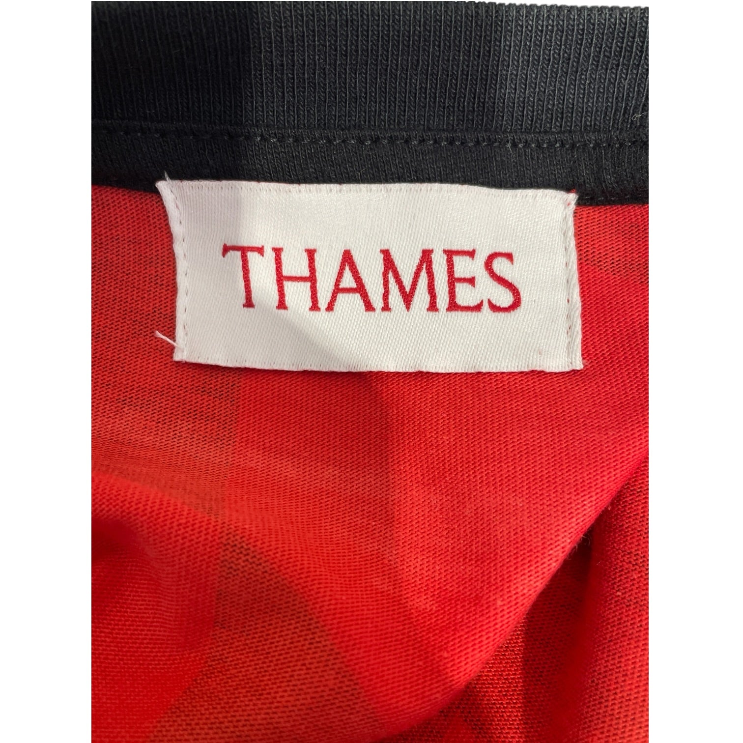 THAMES MMXX./LS T-Shirt/L/Cotton/MLT/All Over Print/Silver crown view 3