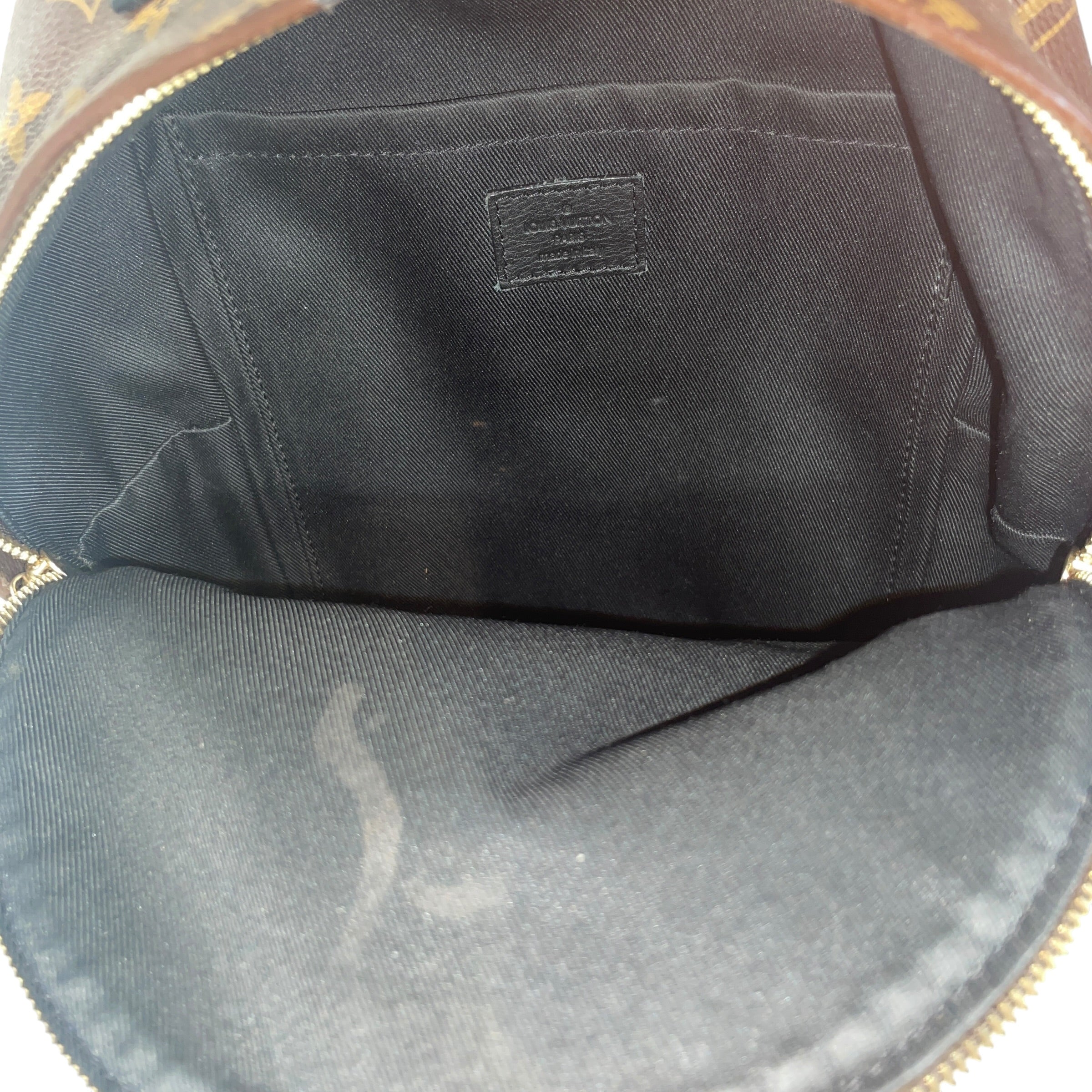 LOUIS VUITTON/Backpack/Monogram/Leather/BRW/Monogram Palm Springs view 4