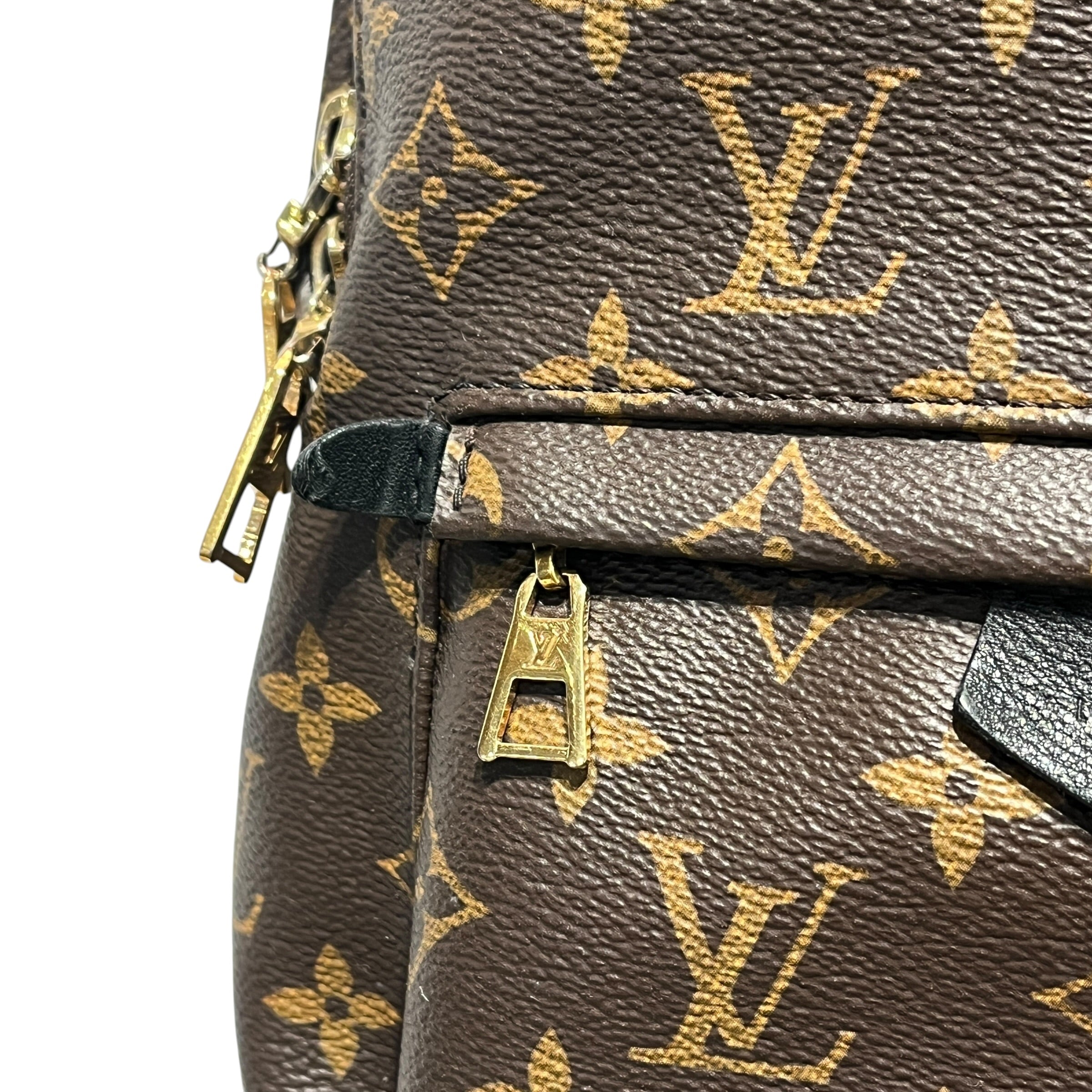 LOUIS VUITTON/Backpack/Monogram/Leather/BRW/palm springs PM backpack view 8