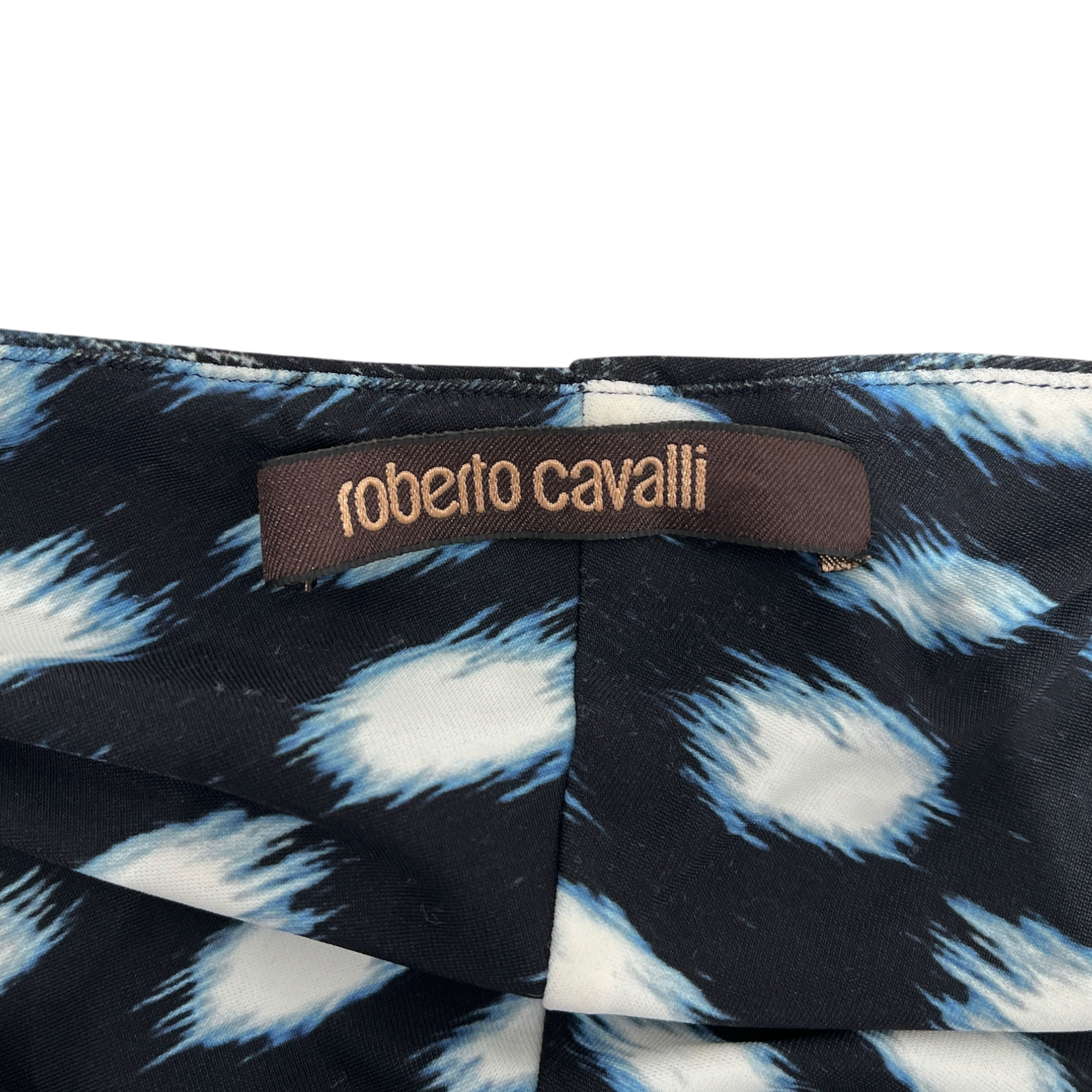 roberto cavalli/3|4S Dress/M/Animal Pattern/Polyester/BLU/blu/blk ruched maxi dress view 3