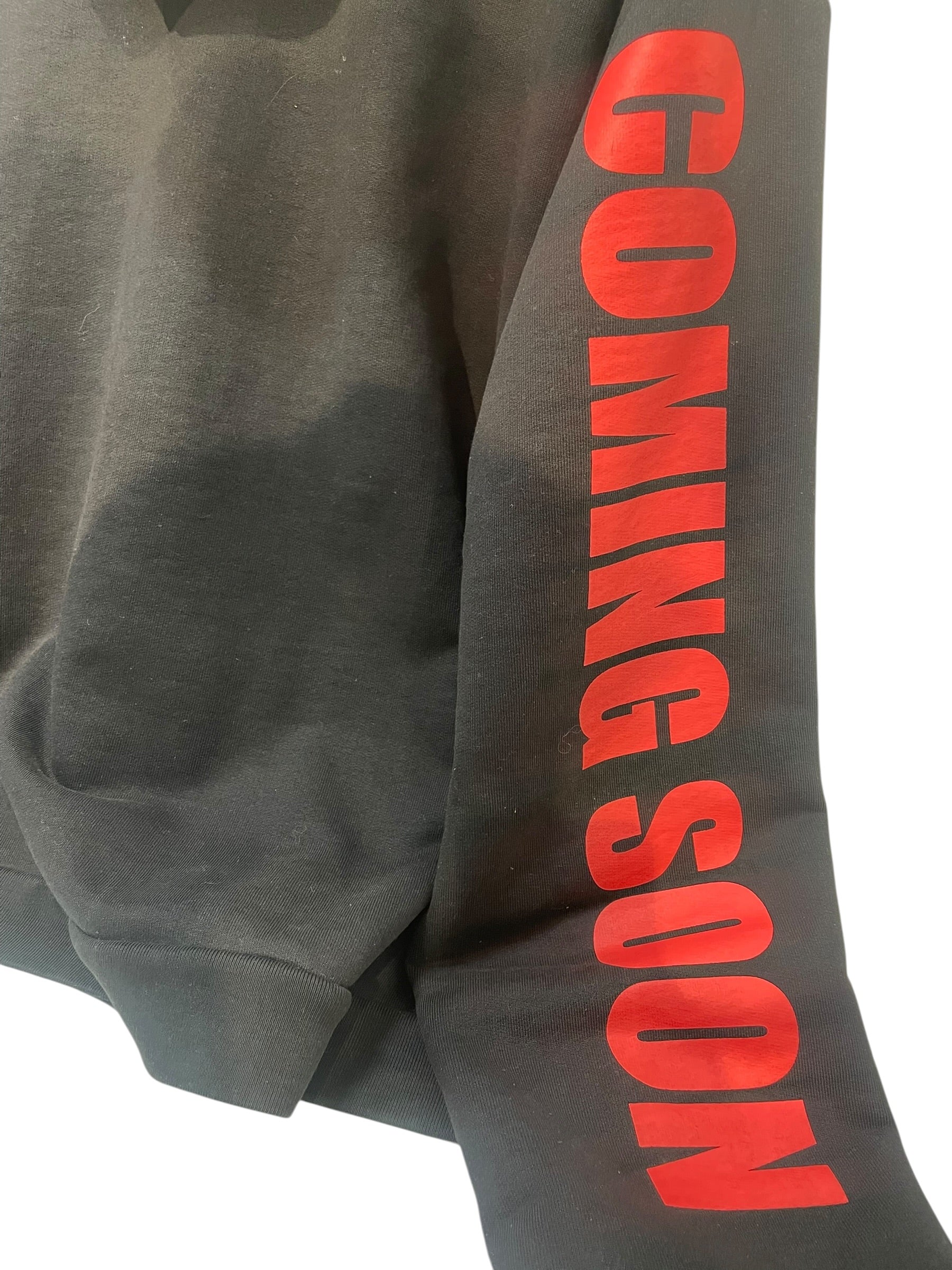 VETEMENTS/Hoodie/M/Graphic/Cotton/BLK/ss16 titanic coming soon view 3