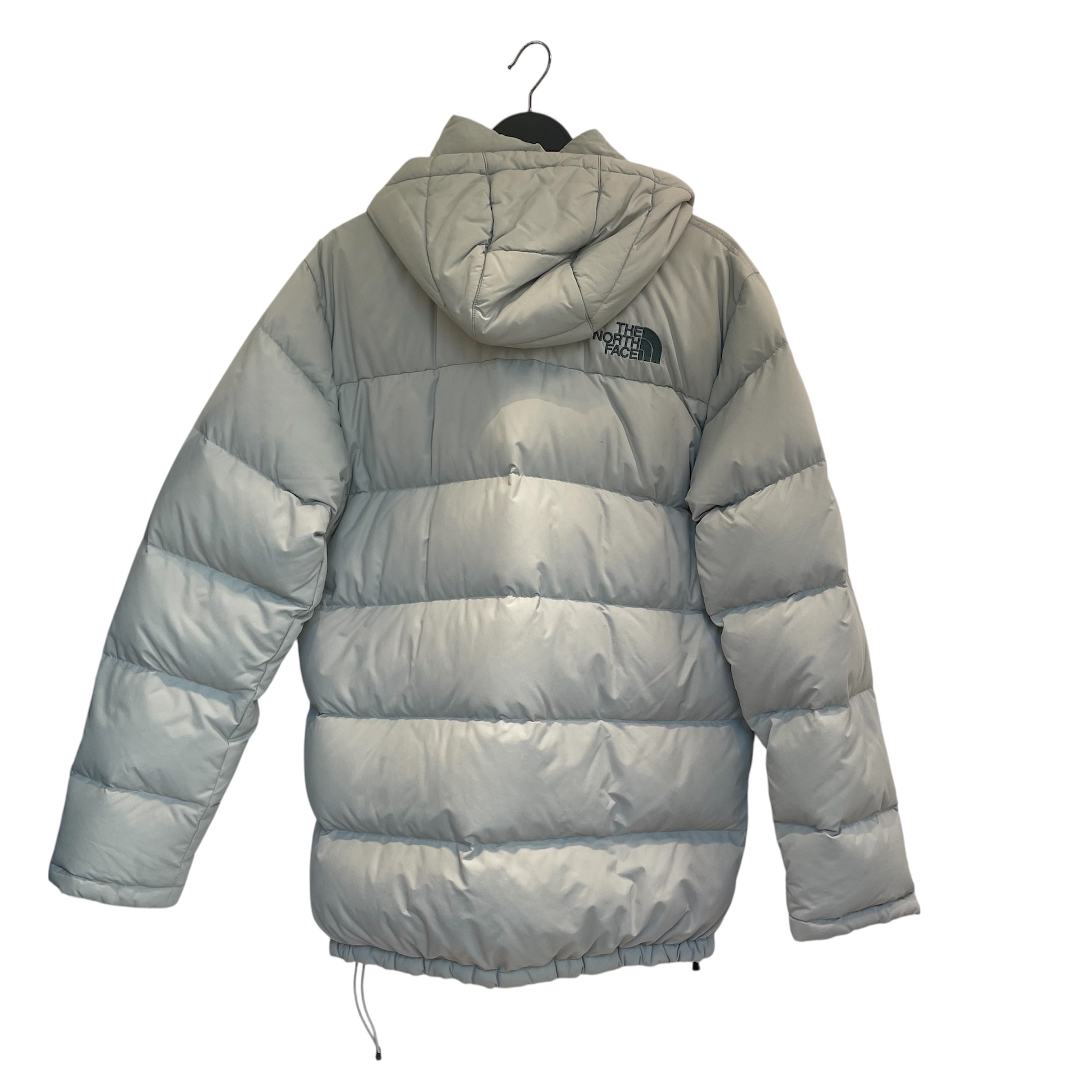 THE NORTH FACE/Puffer Jkt/M/Nylon/SLV/dark aqua inside linen view 2