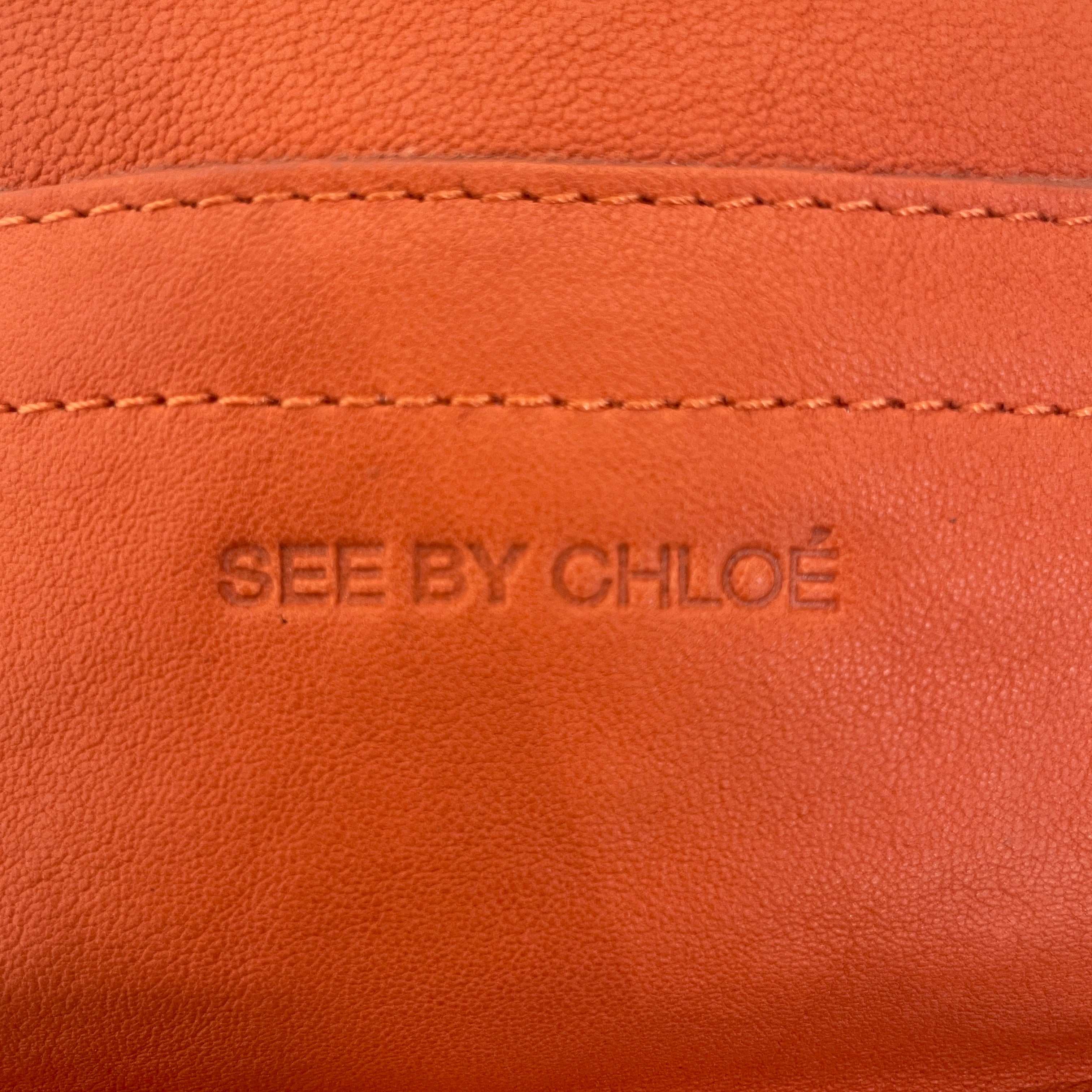 SEE BY CHLOE/Hand Bag/Leather/ORN/CORAL W/ FLORAL STRAP/HARDWARE view 8