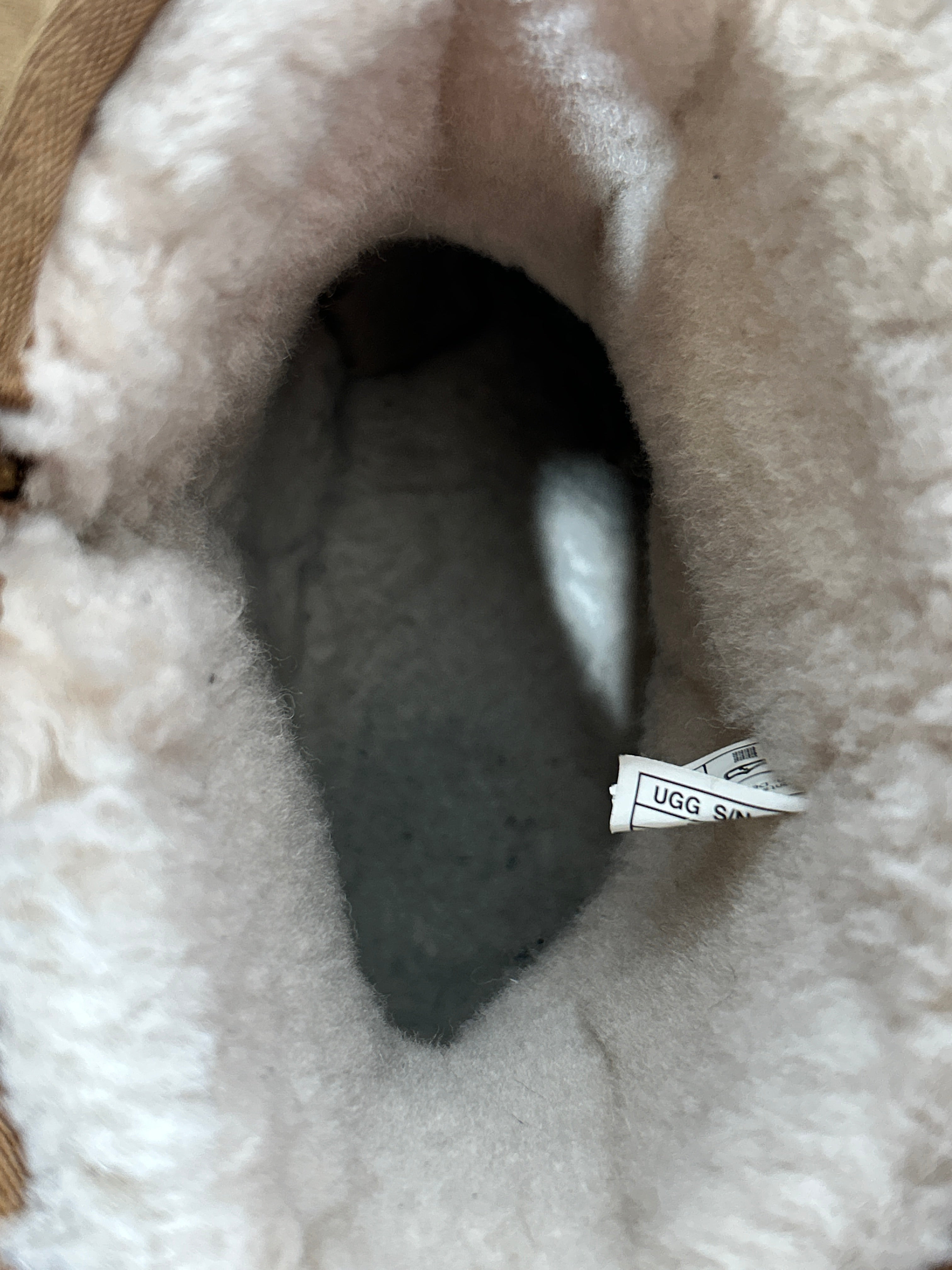 mastermind JAPAN/UGG australia/Boots/US 12/Suede/CML/ view 3