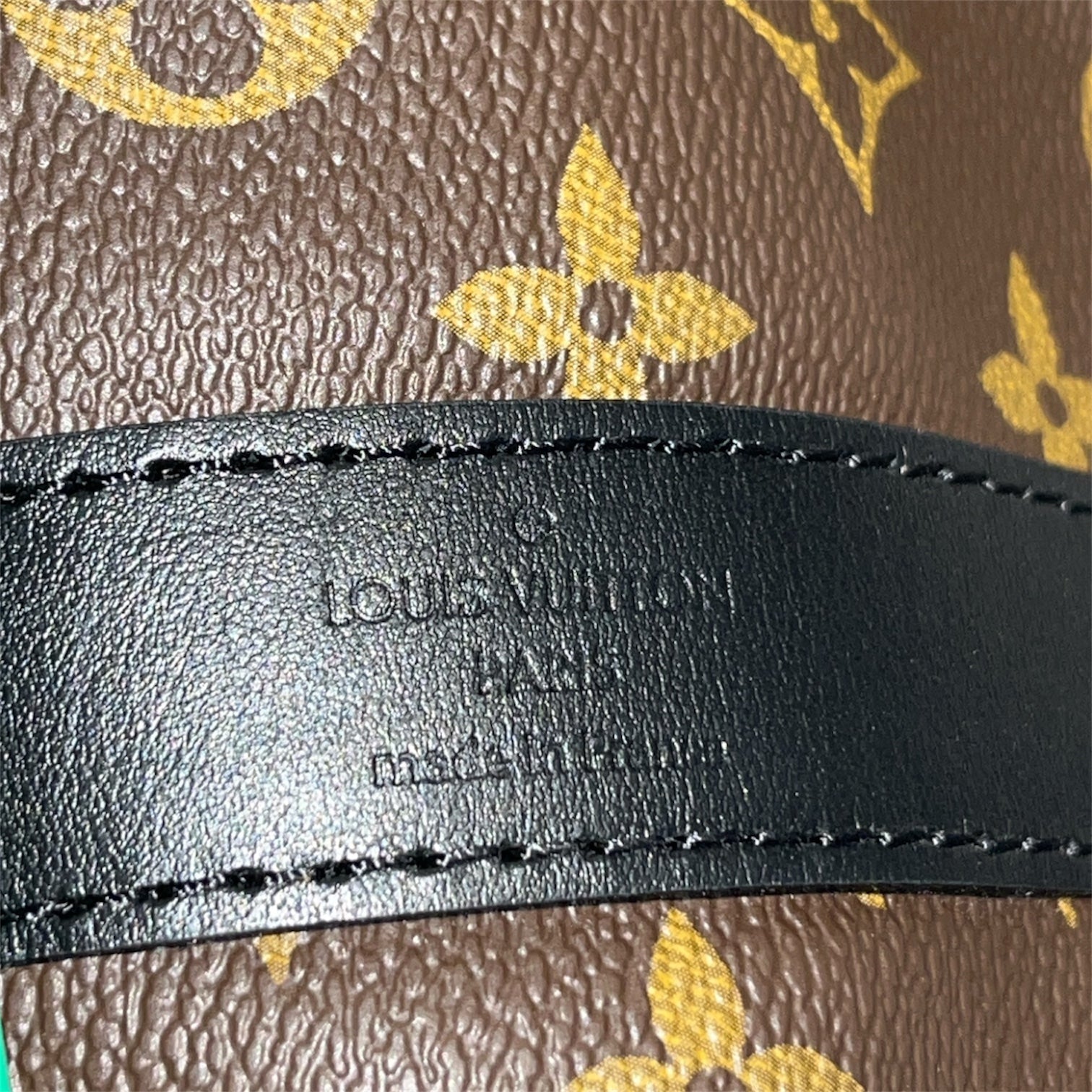 LOUIS VUITTON/Luggage/Monogram/BRW/Macassar Minty Green 50 KA view 5