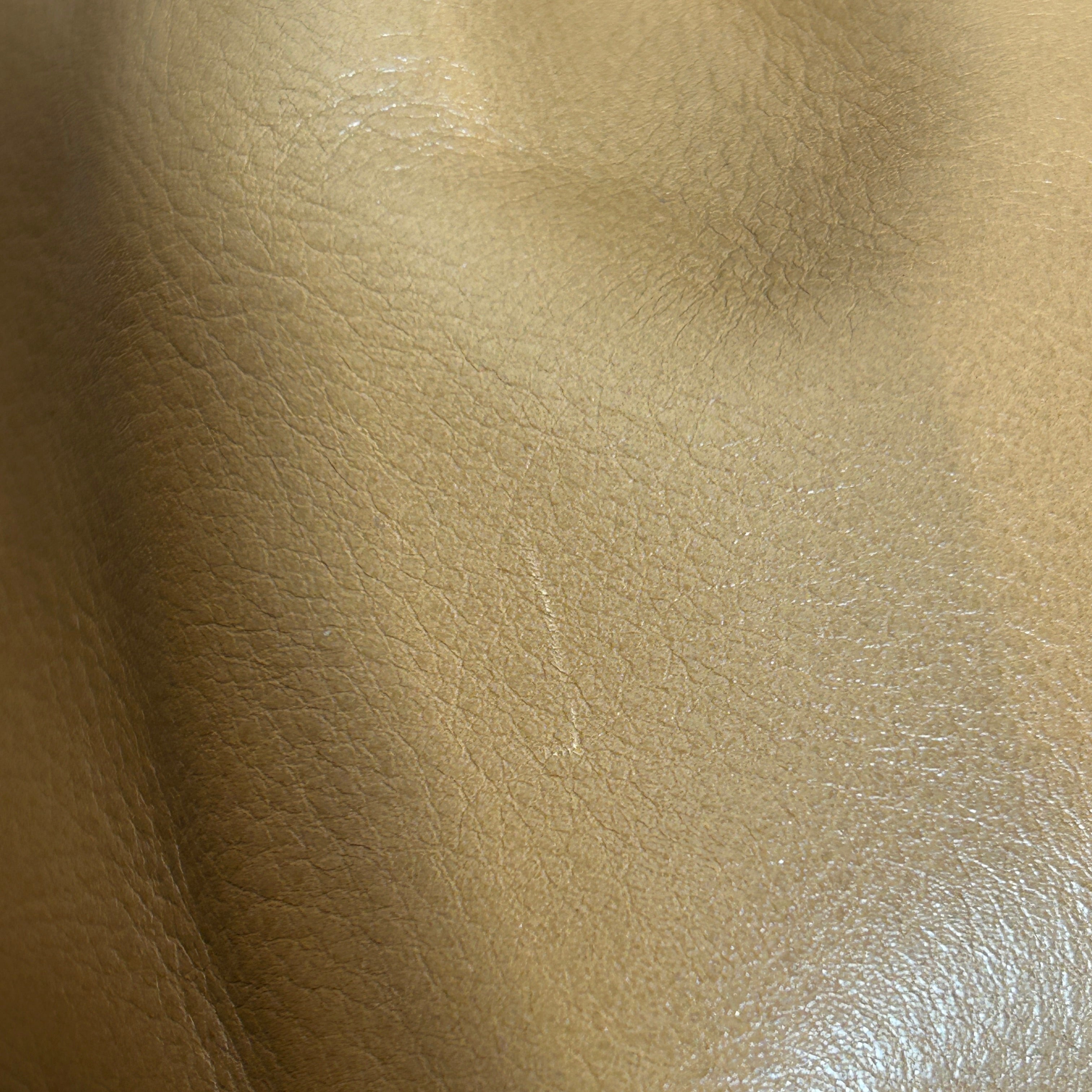 COACH/Bag/Leather/BEG/caryall 28 view 7