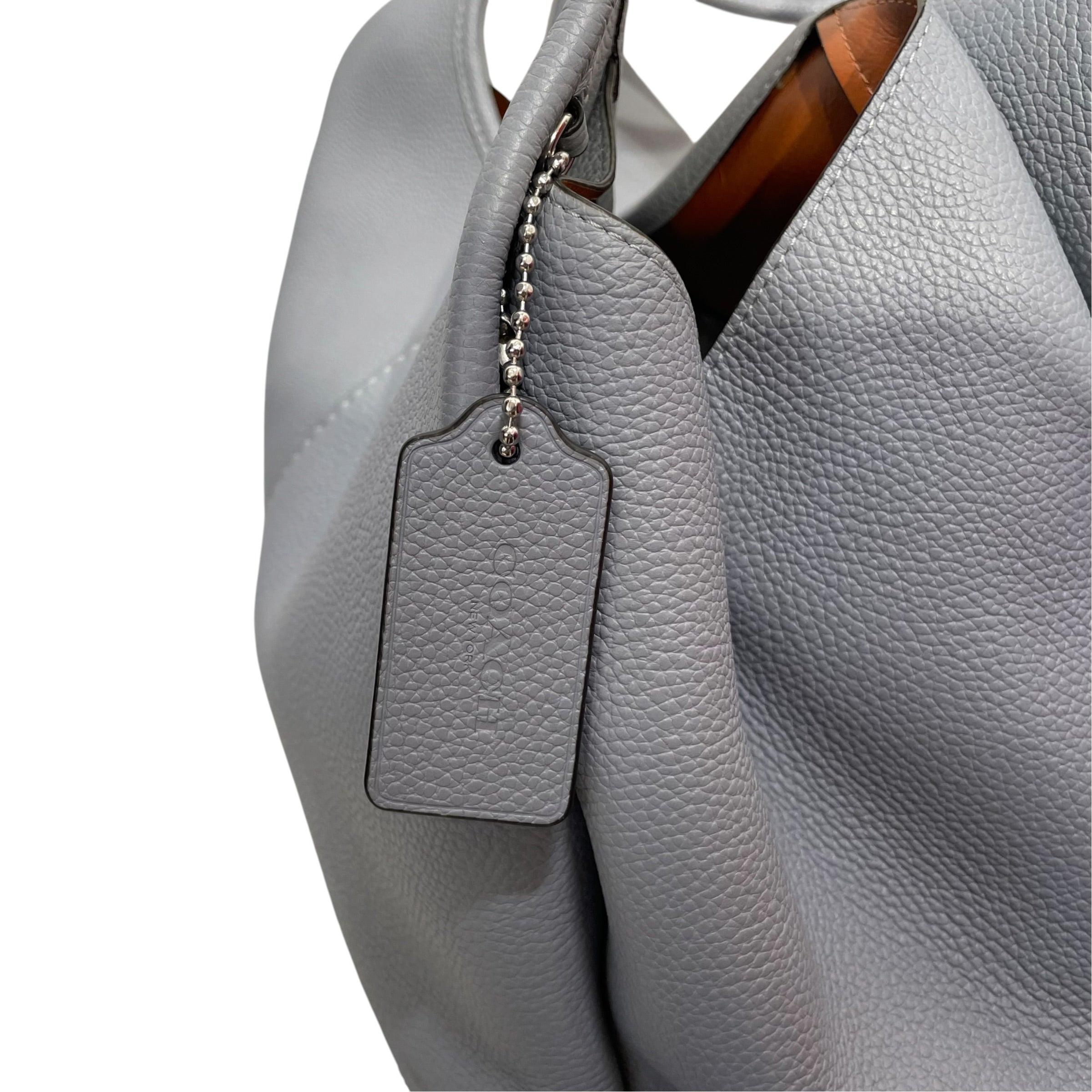 COACH/Tote Bag/Leather/BLU/LIGHT BLUE LANA view 5