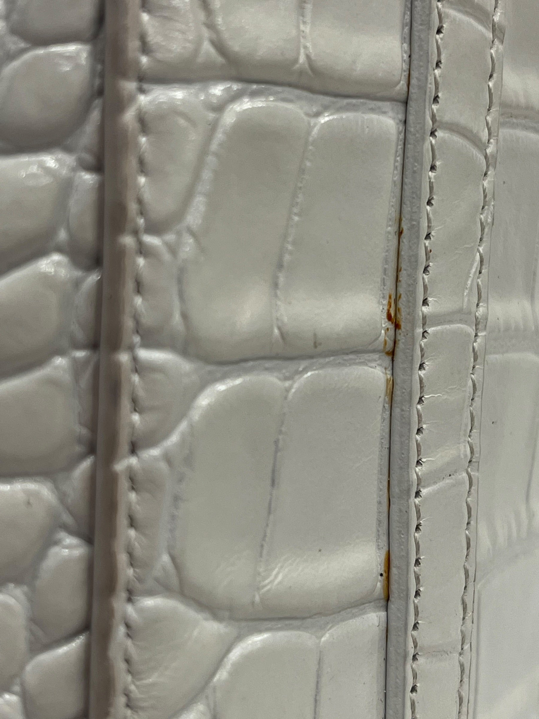 BALENCIAGA/Tote Bag/WHT/ALIGATOR SKIN BAG view 10