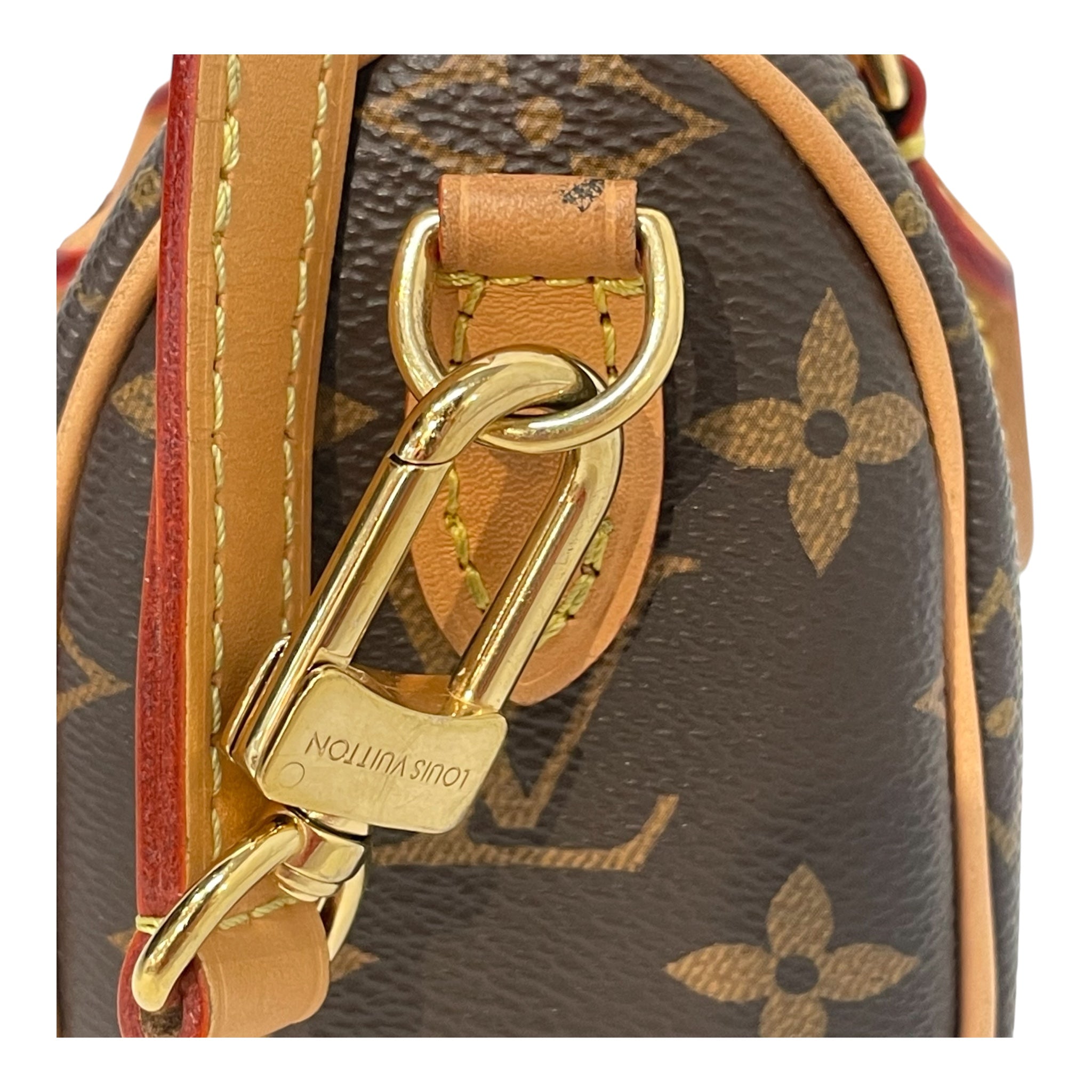 LOUIS VUITTON/Cross Body Bag/Monogram/Leather/BRW/Nano Speedy view 9